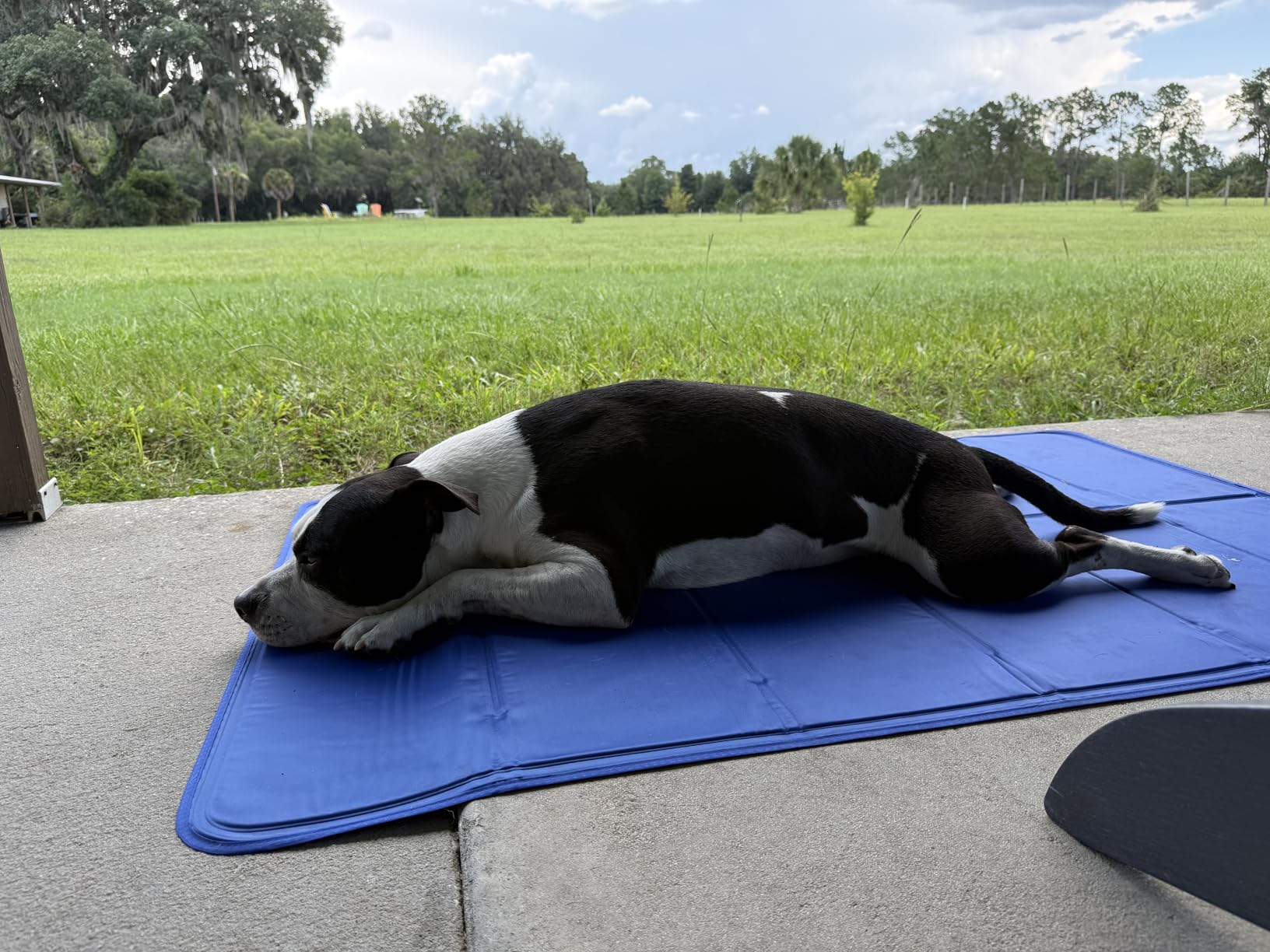 Arf Pets Dog Self Cooling Pet Bed Solid Gel Based | Durable & Non-Toxic | Includes a Foam Based Bolster Bed for Extra Comfort | Pressure-Activated | No Water, Electricity, or Refrigeration Needed customer photo 2