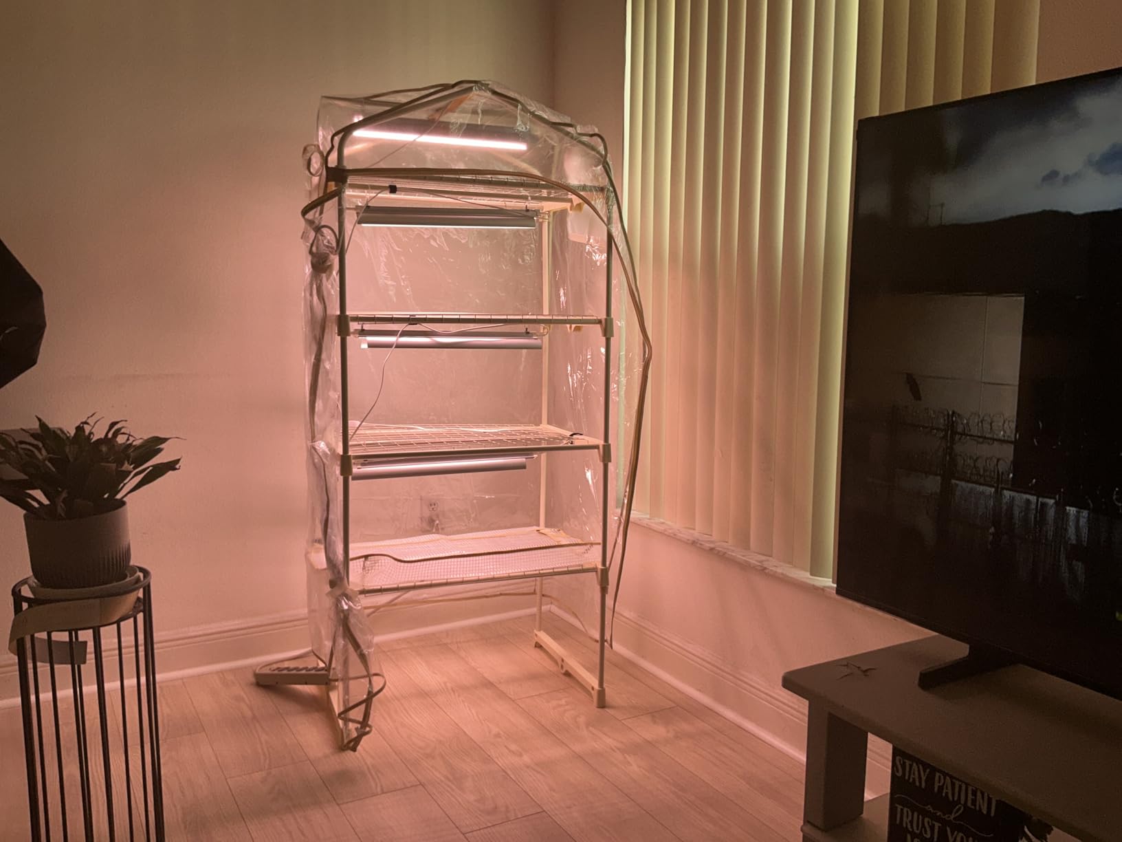 Indoor Greenhouse with Grow Light, 4-Tier Plant Shelf, 39x19x64in | 2.46FT T5 Grow Light for Seedlings, PVC Tent with Ventilation Window, Bottom Pouch, 128W Full Spectrum Plant Light with Timer customer photo 2