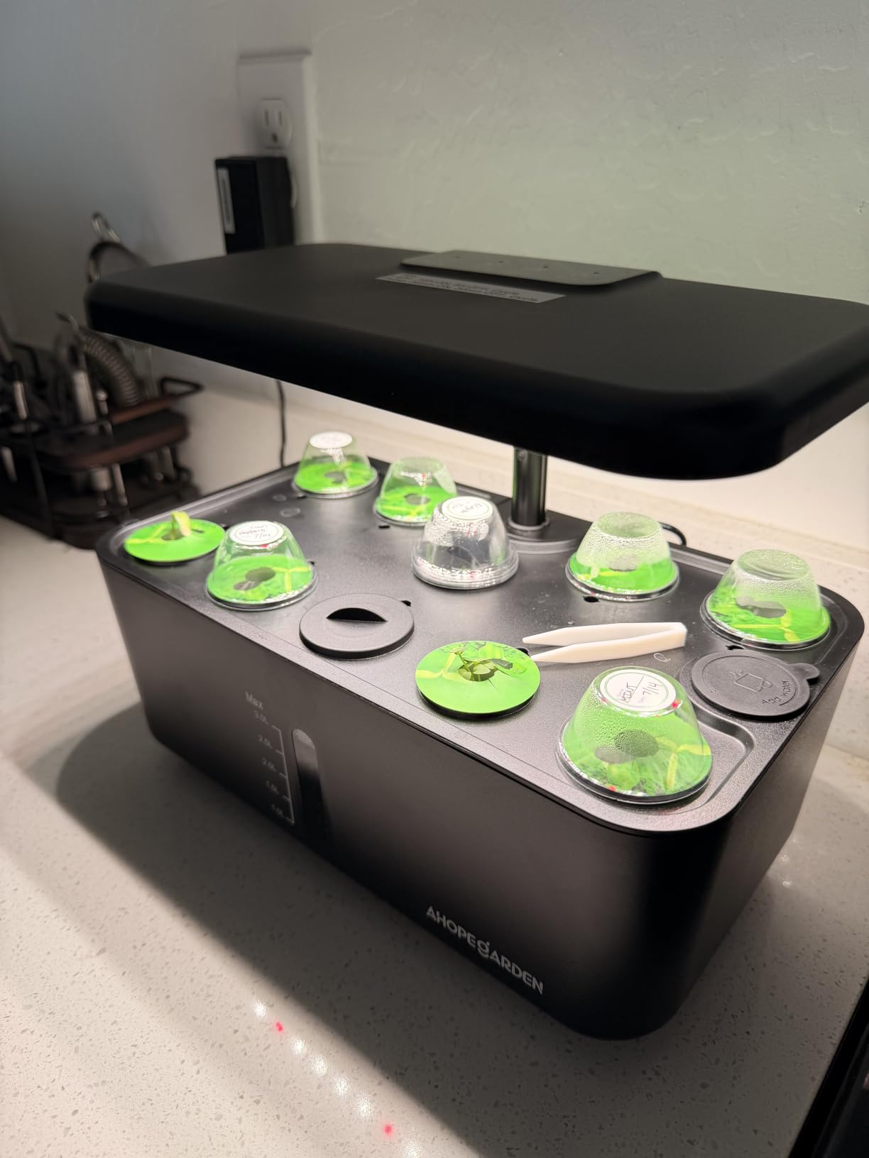 Indoor Garden Hydroponics Growing System: 10 Pods Kit with LED | Plant Germination Kit Herb Vegetable Growth Lamp Countertop Hydroponic Planter Harvest Lettuce for Healthy-Living Enthusiasts customer photo 1