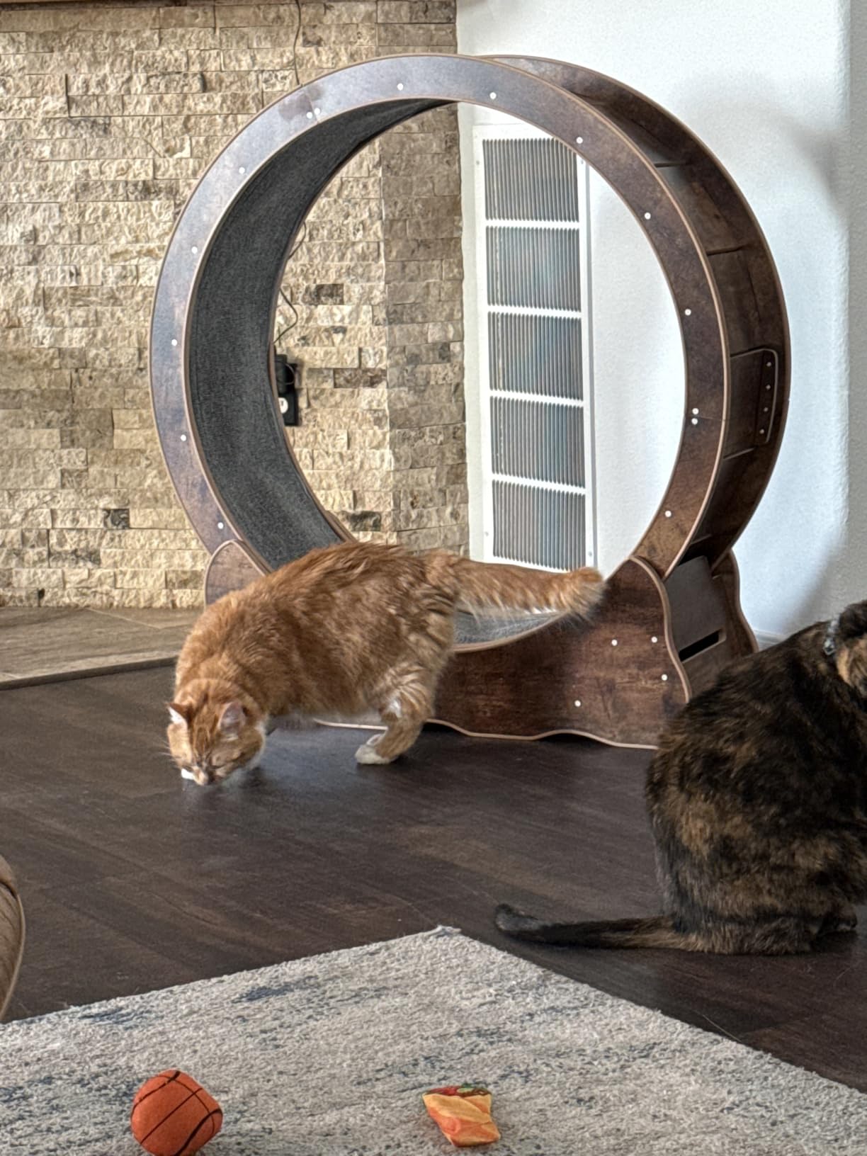 35.4 Inch Cat Exercise Wheel - Wooden Low Noise Cat Treadmill for Indoor Cats, Detachable Carpet & Enhanced Base for Fitness, Weight Loss Size M Brown customer photo 1