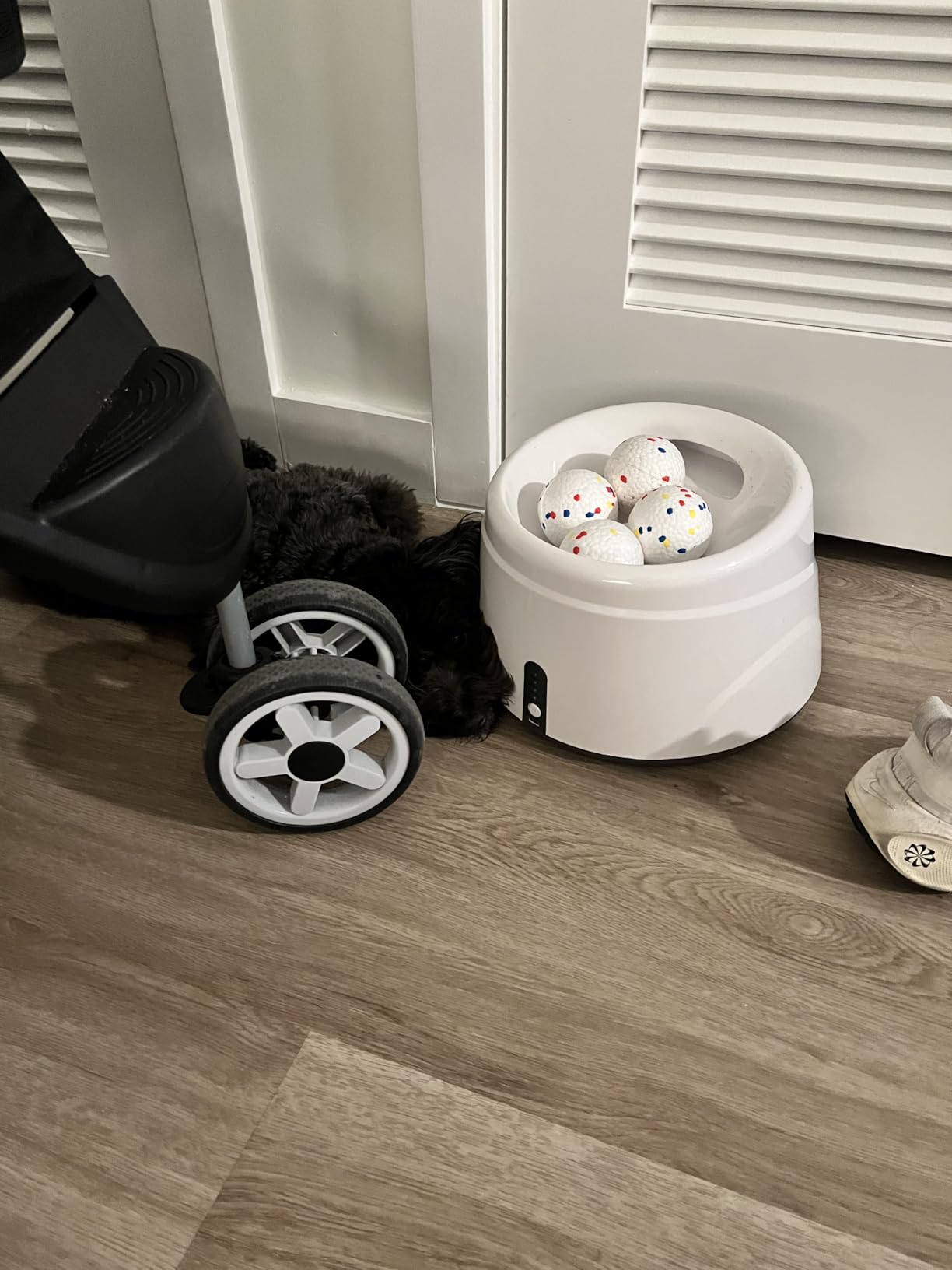 Automatic Ball Launcher for Dogs with 6 ETPU Balls, White, Adjustable Distance 20-45ft, USB Rechargeable, Interactive Dog Toy customer photo 1