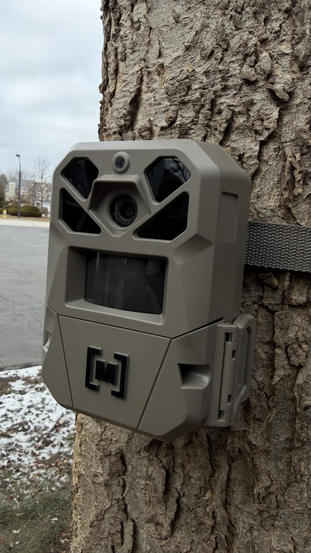 Moultrie Edge 3 PRO Cellular Trail Camera - 50MP Image Sensor - 1440p QHD Video with Audio - AI Buck Detection - GPS - 0.3s Trigger - No-Glow Flash customer photo 2