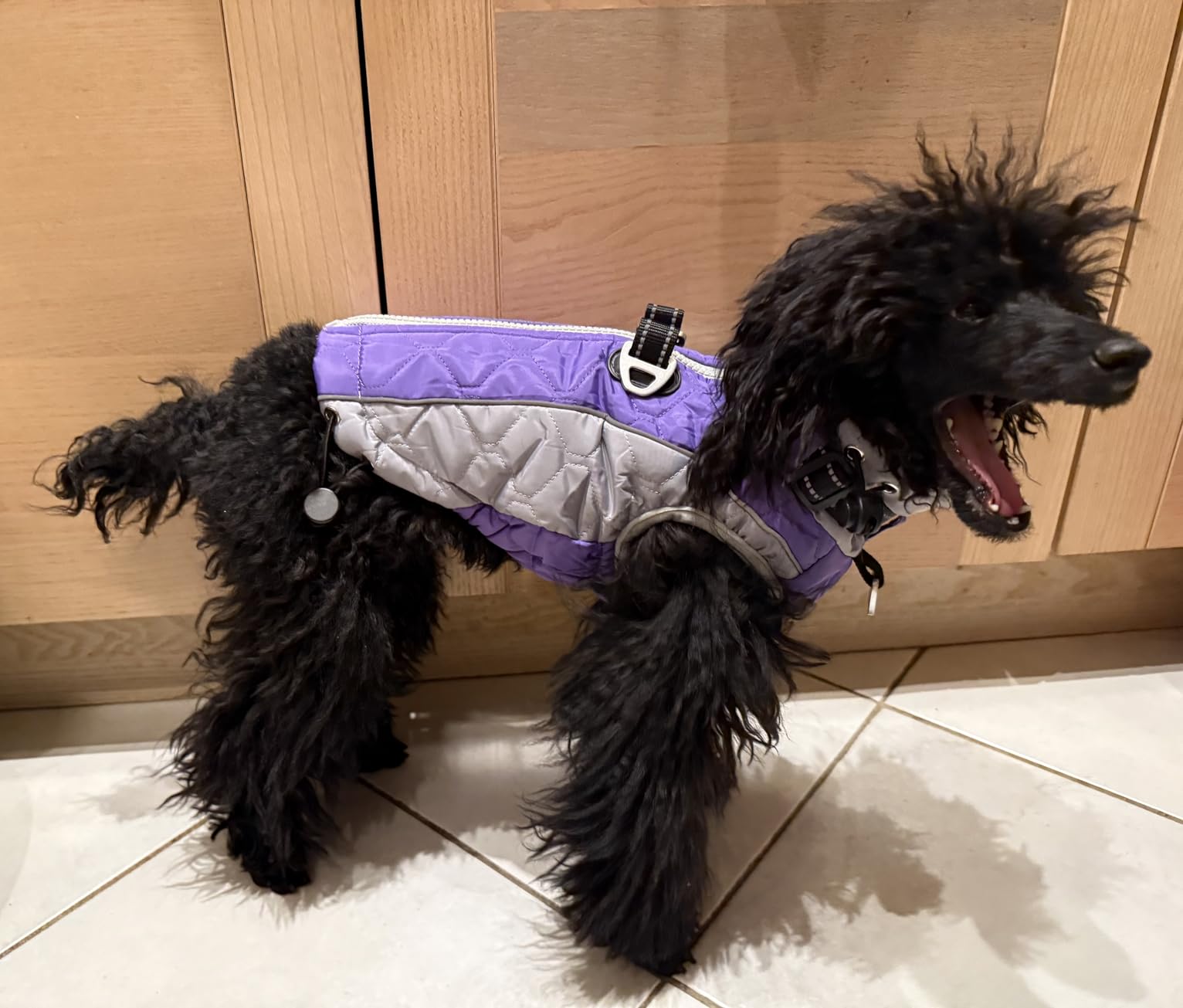 Dog Jackets for Large Dogs Waterproof, Warm Dog Cold Weather Coats with D Ring & Adjustable Buckles, Reflective Fleece Snowsuit Back Zipper, Thick Fleece Vest Christmas XL Blue customer photo 1