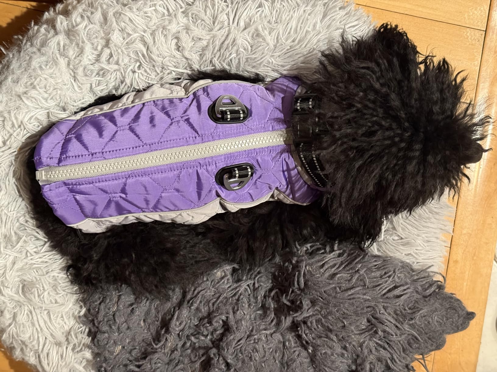 Dog Jackets for Large Dogs Waterproof, Warm Dog Cold Weather Coats with D Ring & Adjustable Buckles, Reflective Fleece Snowsuit Back Zipper, Thick Fleece Vest Christmas XL Blue customer photo 2