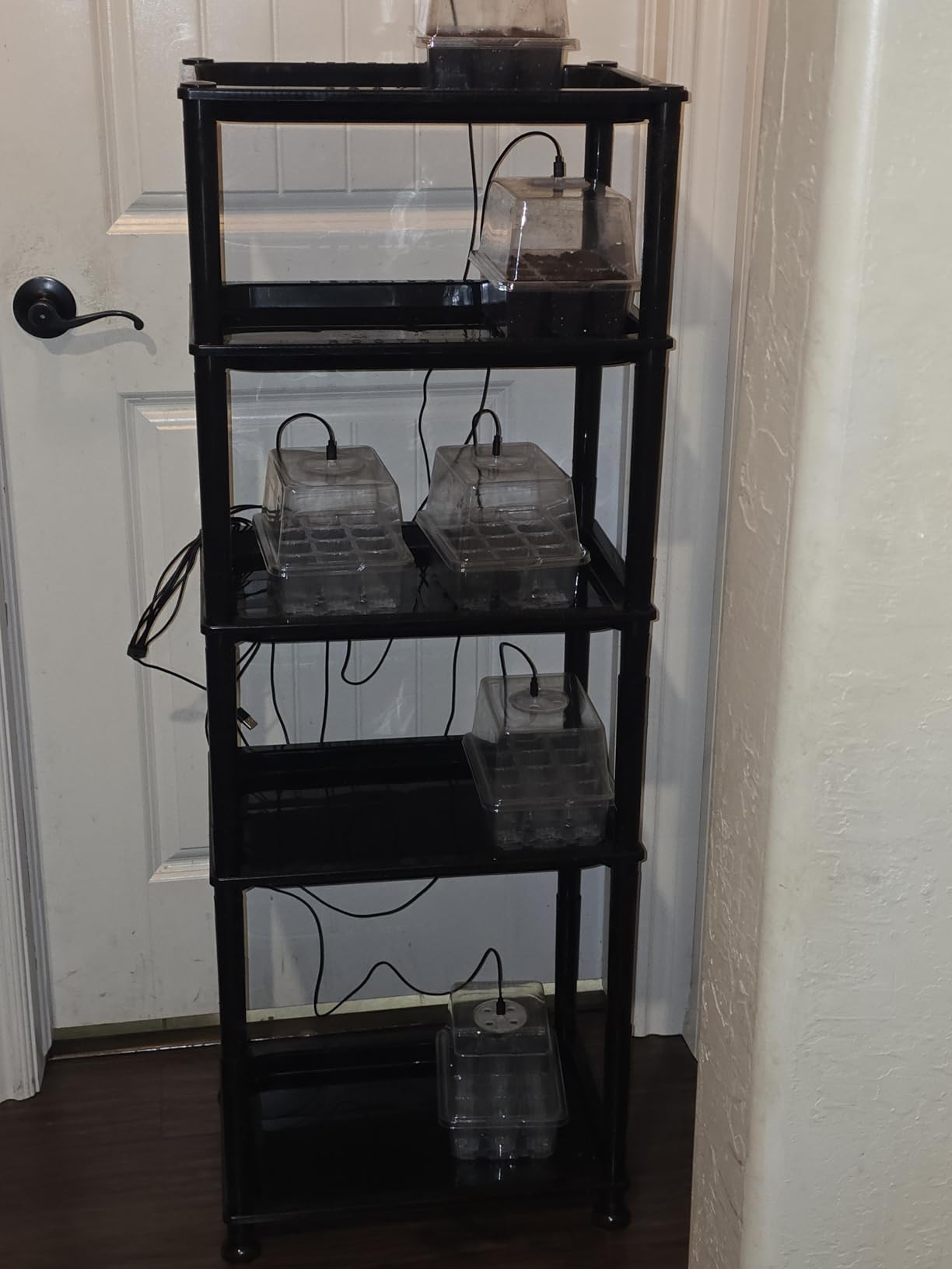 RooTrimmer 5-Tier Seed Starter Trays, Plant Stand, with Bottom-Watering Design - Reinforced Thickened Shelf for Small Pots, Balcony/Indoor Seed Starting & Greenhouse, Black customer photo 2