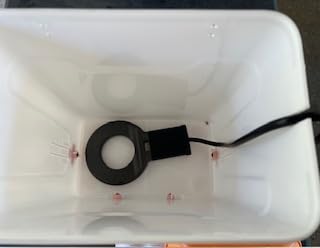 Lilyang Heated Chicken Waterer 3 Gallon, 250W Thermostat Control | Submersible Heat Plate, Chicken Water Heater With Nipples, Freeze-Proof Poultry Drinker for Winter, No-Tools Assembly customer photo 2