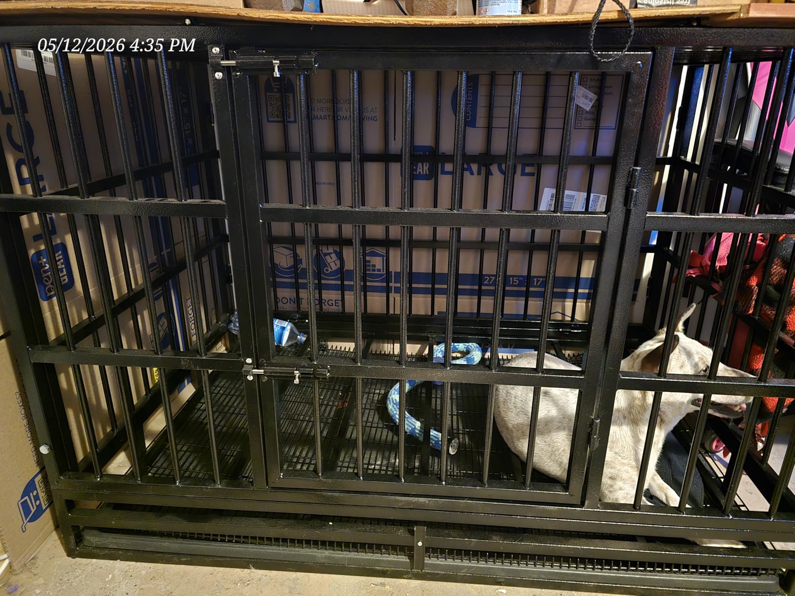 LEMBERI 48 inch Heavy Duty Indestructible Dog Crate, High Anxiety Extra Large Dog Cage for Large Dogs, XL Steel Escape Proof Dog Kennel with Wheels and Removable Tray (Black, 47.2 * 30.7 * 34.6 inch) customer photo 1