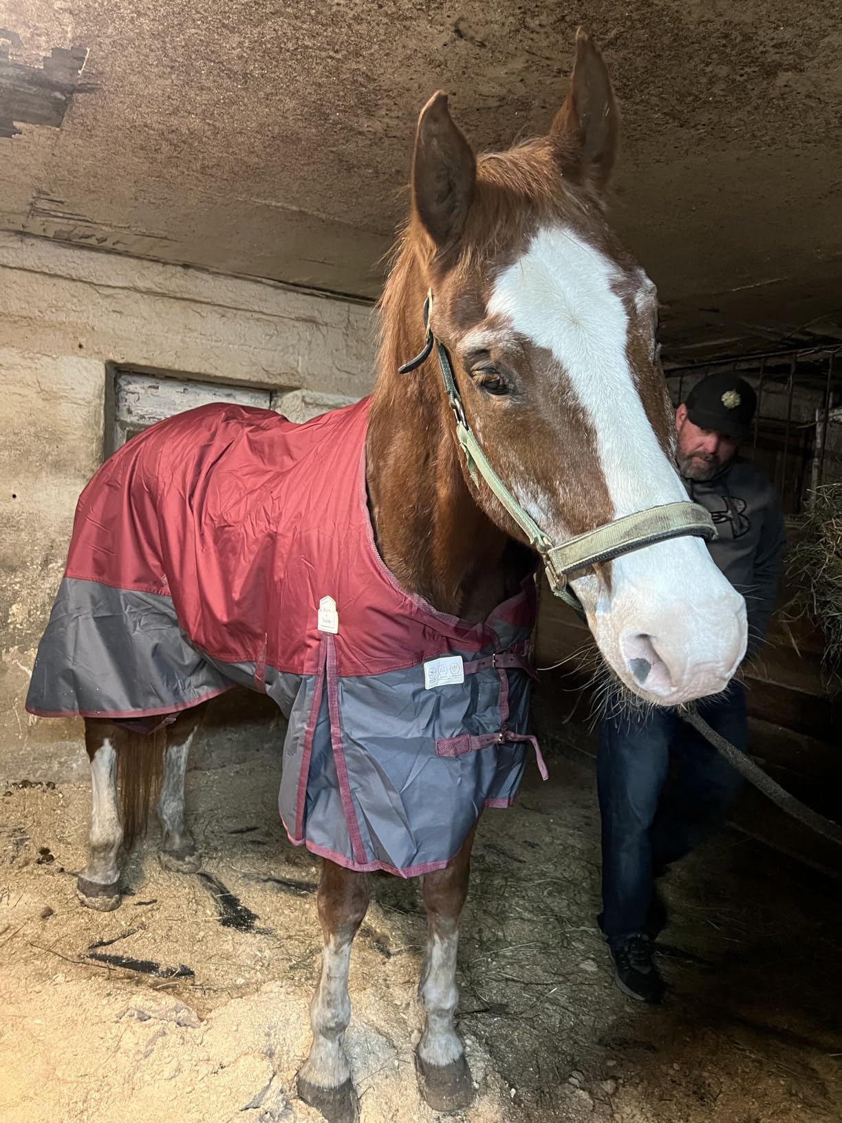 BARN & STABLE 600Denier 3000mm/3000mvp Super Waterproof & Breathable Horse Blankets for Winter with 200g Fill customer photo 1