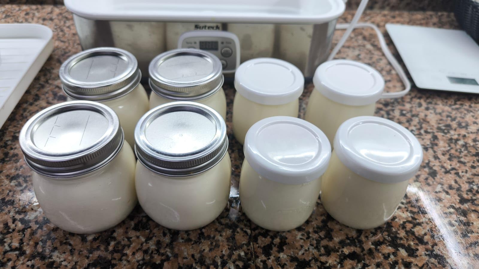 Suteck Yogurt Maker with 8 Jars, Adjustable Time & Temp Control | 8 Jars Each 6oz Dishwasher-Safe, BPA-Free, 0-48H Timer & 68-131°F Temp, ±1°C Precision | Auto Shutoff, 25W, Greek Yogurt customer photo 2