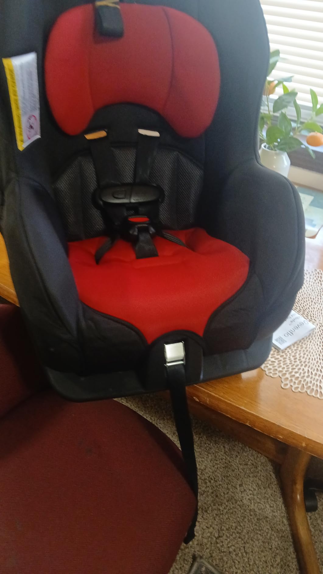 Evenflo Tribute LX Convertible Car Seat, Rear-Facing & Forward-Facing Modes, Compact Convenience for On-the-Go Families (Saturn Gray) customer photo 1