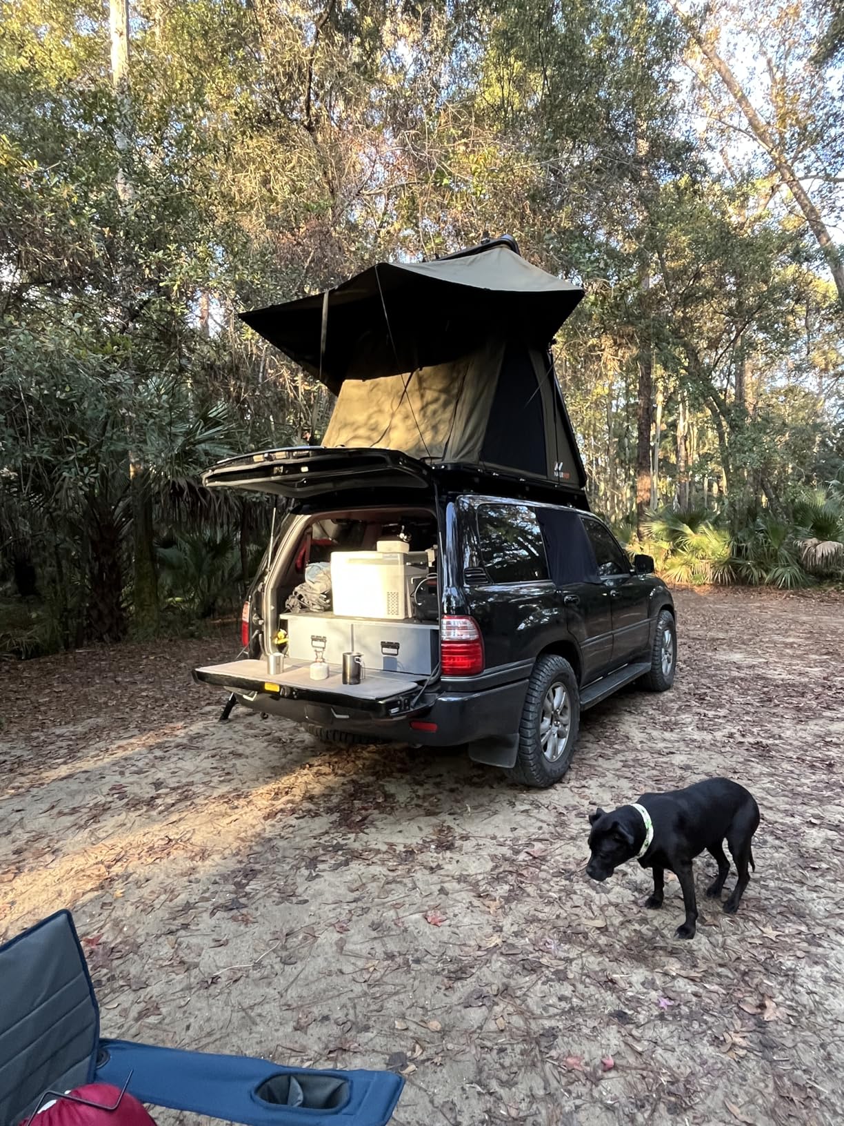 Naturnest Ultra Light Slim Rooftop Tent Hard Shell, Pop Up Tent with Self-Inflating Mattress for 2 Person Camping, Waterproof 4 Season Tents for Truck, SUV, Jeeps customer photo 1