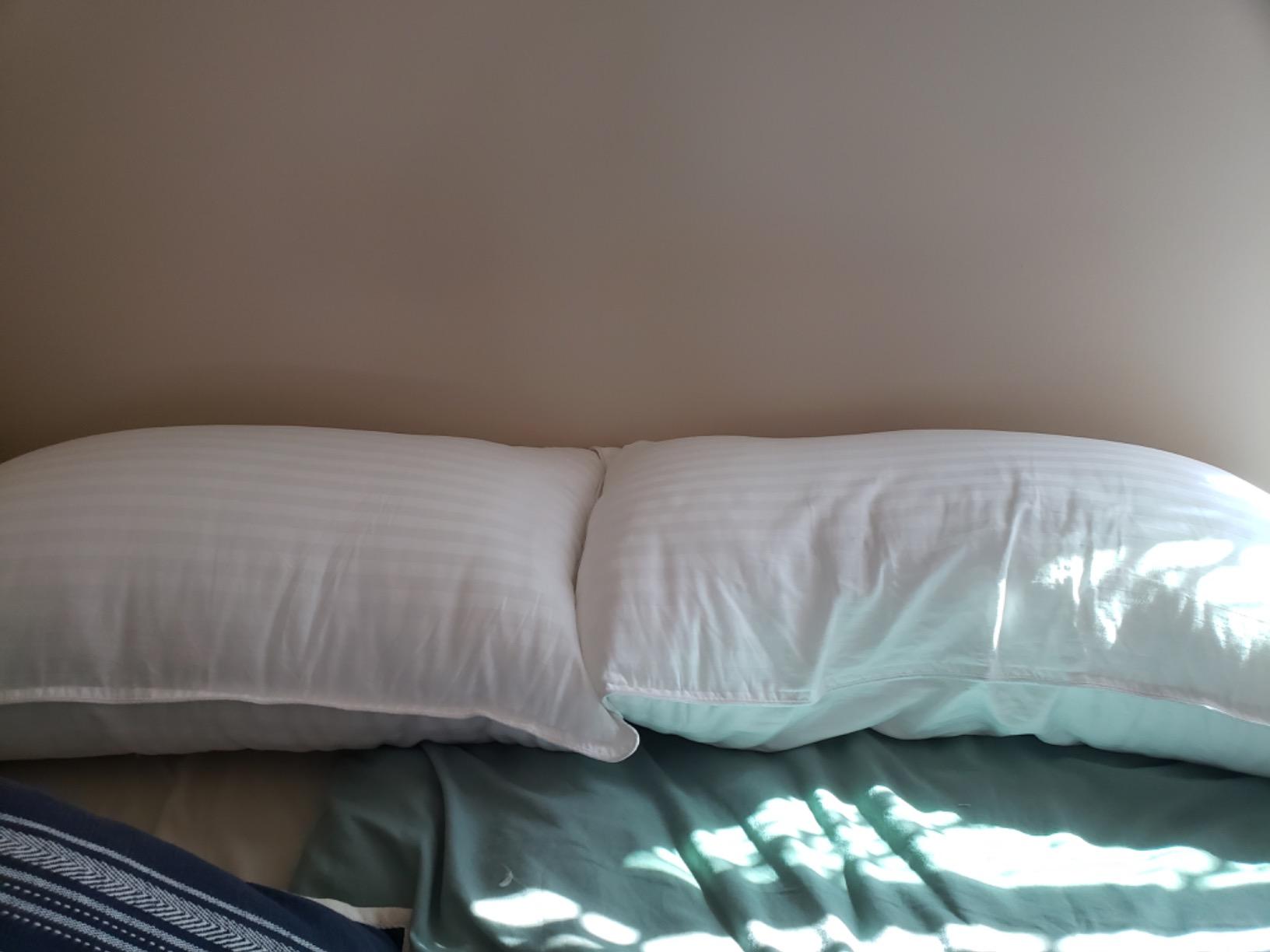 COZSINOOR Goose Down Feather Pillows Queen Size Set of 2 | Hotel Quality Soft 600 TC Cotton Cover, Fluffy Support Fill for Back, Stomach, Side Sleepers customer photo 2