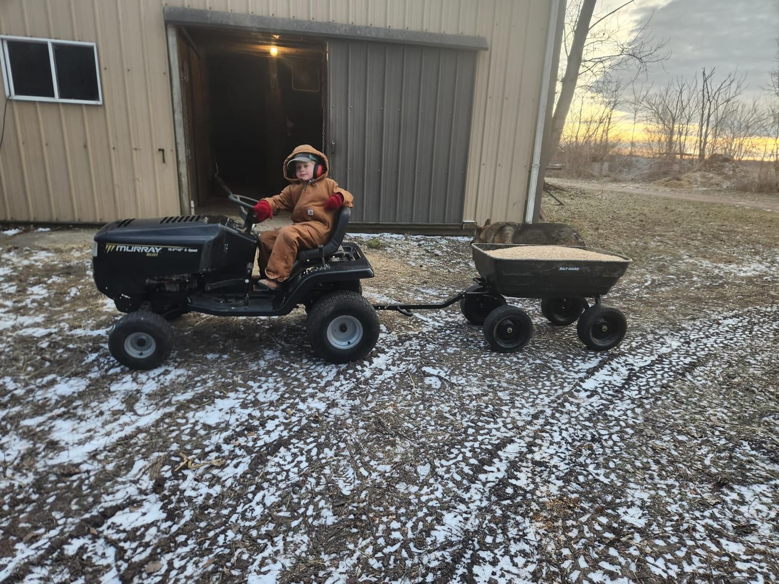 BILT HARD 7 Cu Ft Poly Garden Dump Cart 1200 lbs with No Flat Tires, Quick Release customer photo 2
