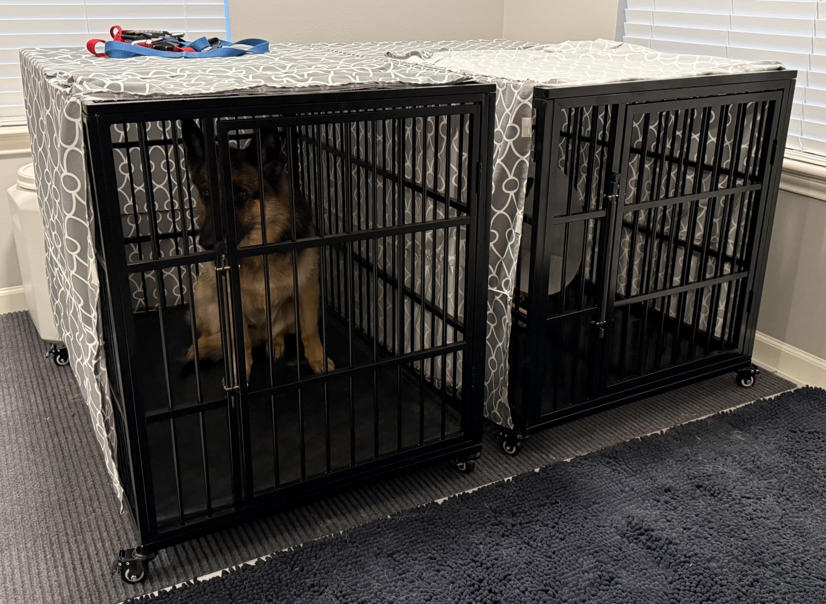 VERIFURTY 48 Inch Heavy Duty Dog Crate for Large Dogs with Self-Locking Latch, Escape-Proof Steel Kennel Indoor, XL Large Double Door Metal Pet Cage with Wheels customer photo 1