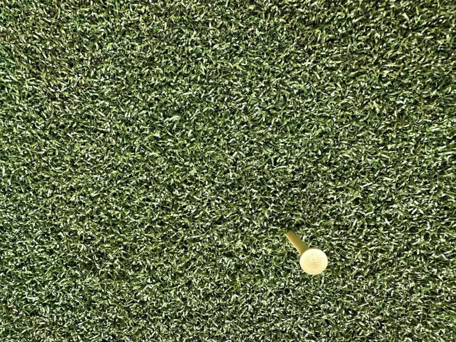 Fanshaw Premium Dual-Turf Golf Mat 5x4/6x4ft 40-50mm Thickened for Practice | Durable Golf Hitting Mat: Tee, Fairway & Rough Turf for Driving & Chipping, Indoor & Outdoor Backyard&Simulator Training customer photo 1