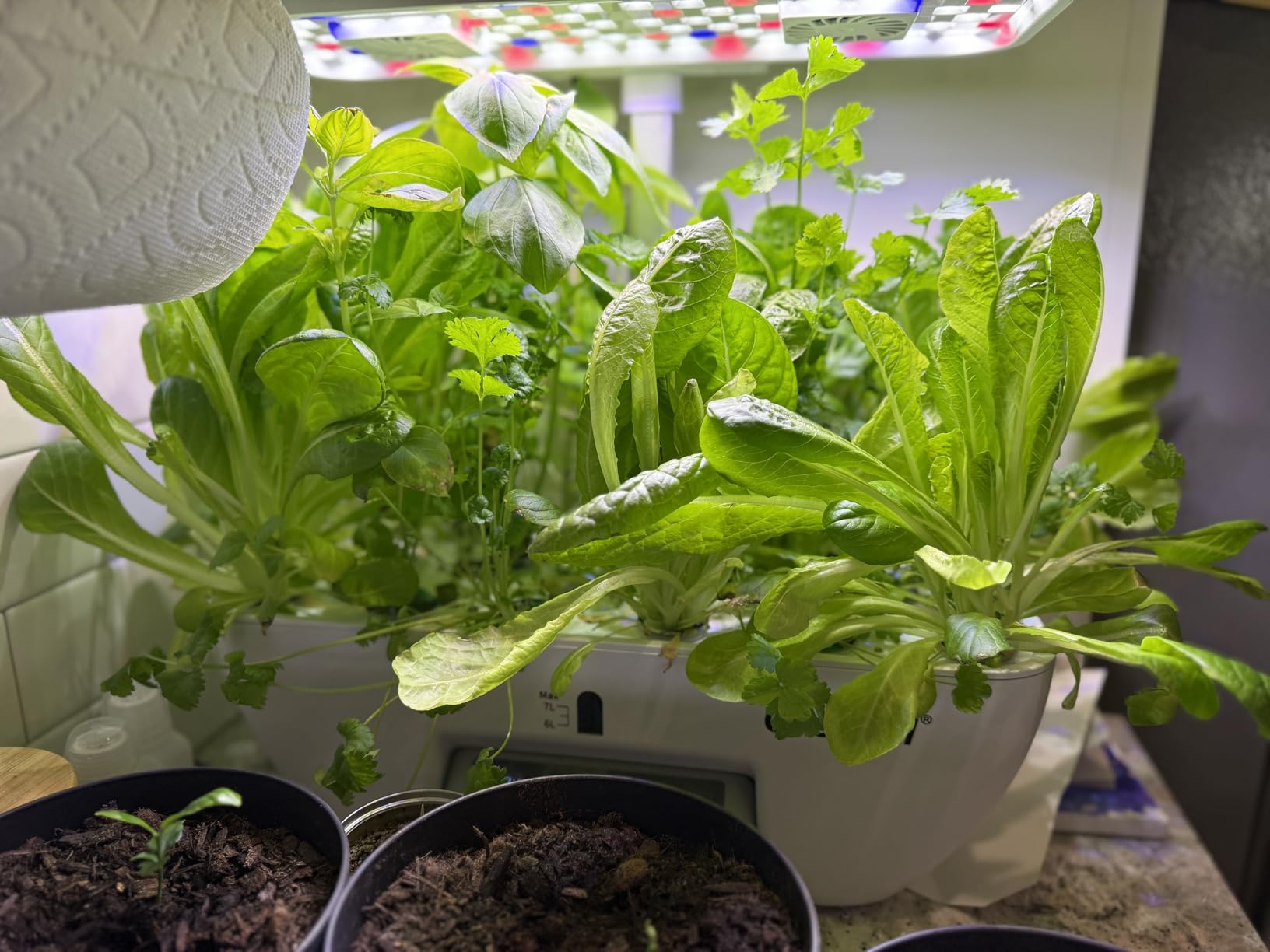 Growell 17 Pods Hydroponics Growing System Kit, Indoor Garden with 2 Fans | for Airflow & Anti-Mold, LED Grow Light, Smart Water Cycle, Auto Timer, 10L Large Water Tank, Indoor Gardening Gift, White customer photo 2