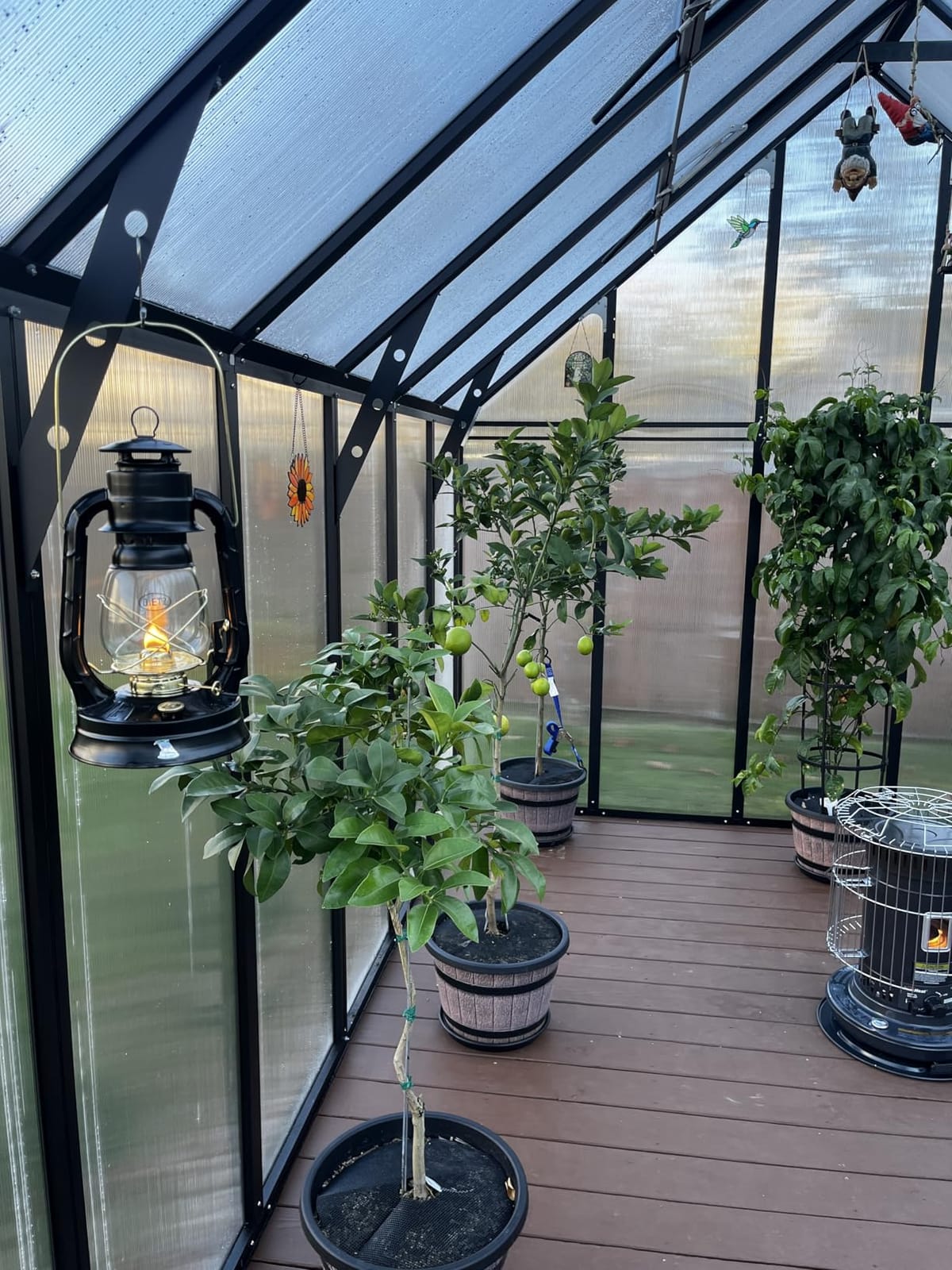 CDCASA 12x10x10 FT Polycarbonate Greenhouse for Outdoors w/2 Windows | Easy Assembly, Large Thicker Aluminum Heavy Duty Walk-in Greenhouses Kit, Green House for Outside, Sunroom, Backyard, Garden customer photo 2