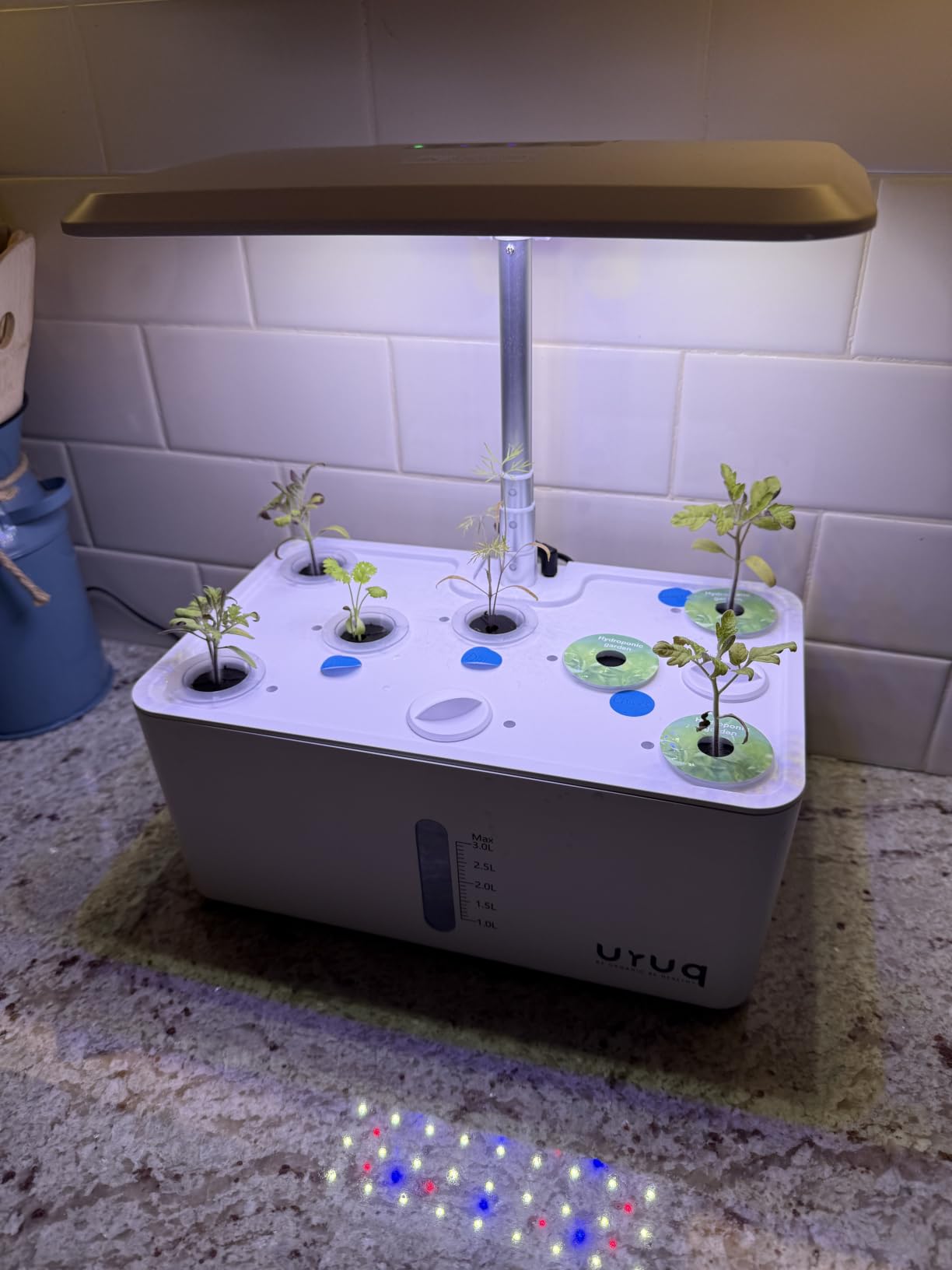 URUQ 8 Pods Hydroponics Growing System with LED Grow Light, Quiet Water Pump, Automatic Timer customer photo 2