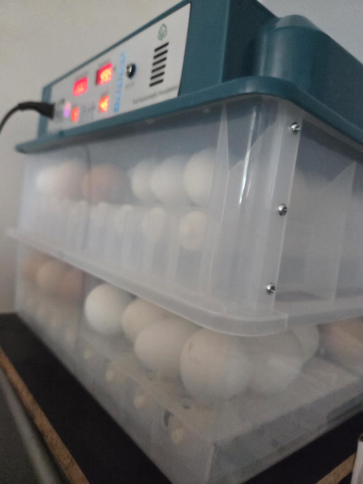 Egg Incubator for Hatching 120 Eggs with 5 Auto Incubation Models | Precise Temp & Humidity Control, Auto Egg Turning, External Water Refill, Egg Candler, Dual Power Supply, Adjustable Roller customer photo 2