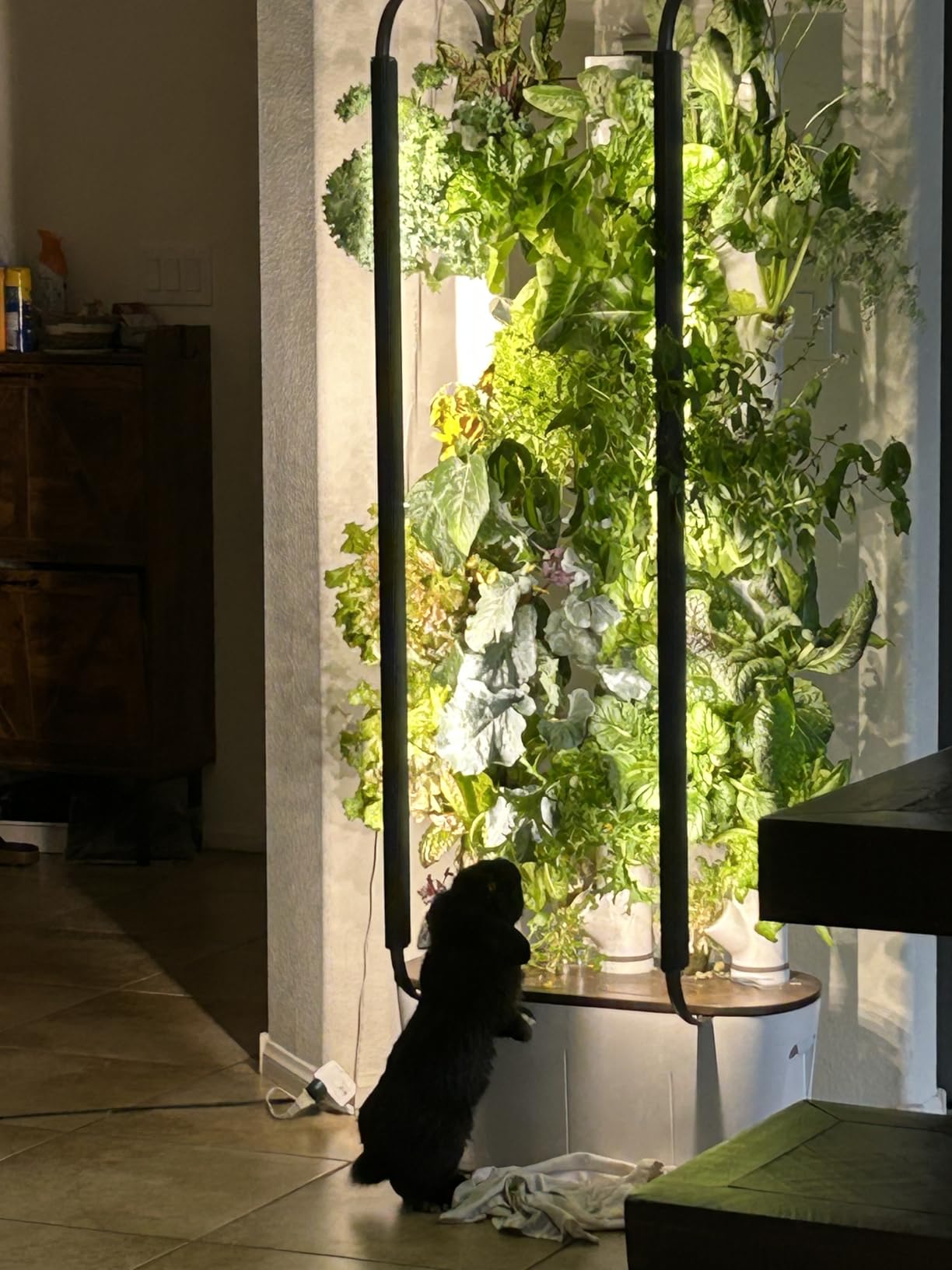 Gardyn Home 4 Vertical Hydroponics Growing System Kit - 30 Plants | AI-Powered Smart Garden with LED Grow Lights customer photo 1