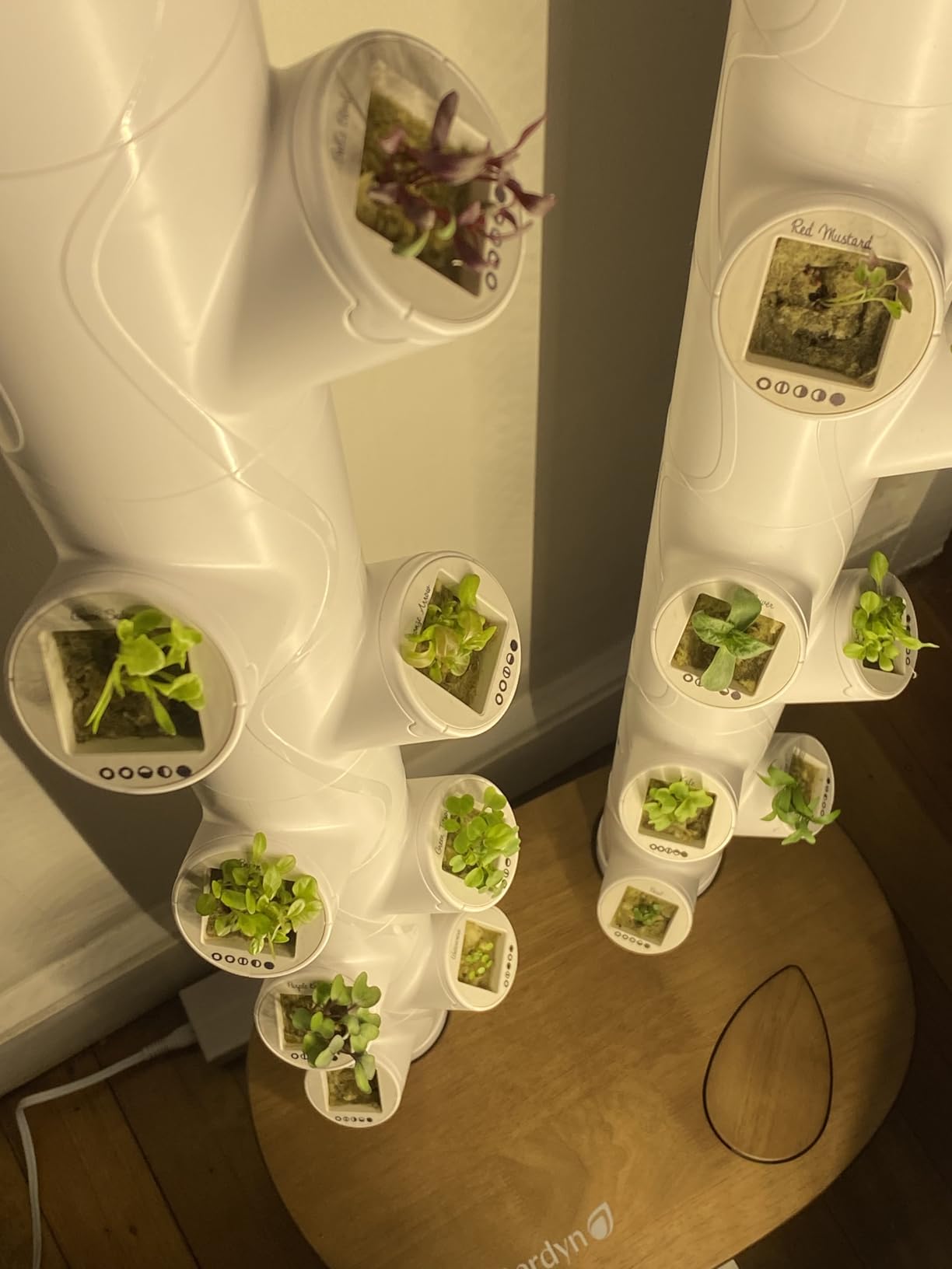 Gardyn Studio 2 Hydroponics Growing System - 16 Plants, Smart Tower | New & improved, non-GMO plants, herbs, vegetables, hydroponic herb garden planter indoor kit with grow lights customer photo 2