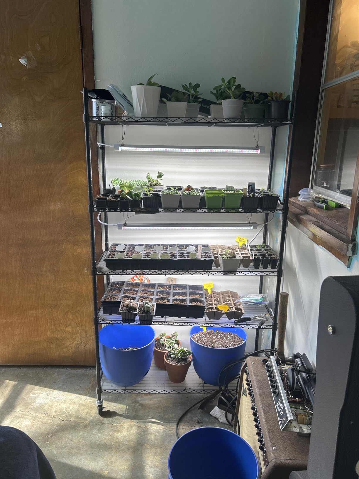 FREELICHT Plant Stand with Grow Light 5-Tier, 4x30W 5000K, 35.4x13.8x61.5IN Metal Plant Shelf with Adjustable Rack and Wheel, 120W 2FT Full Spectrum LED Grow Lights with Timer for Vegs, Seed Starting customer photo 2