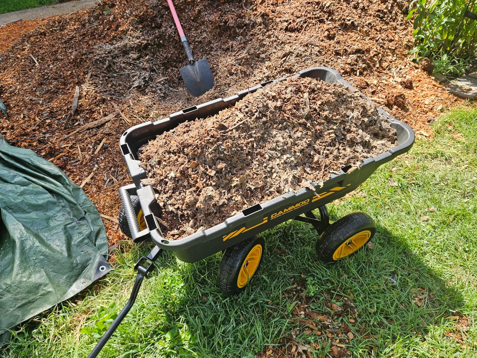 CAMMOO 10-in NO-Flat Tires 900lb Garden Dump Cart Wheelbarrow Garden Wagon, Black customer photo 1