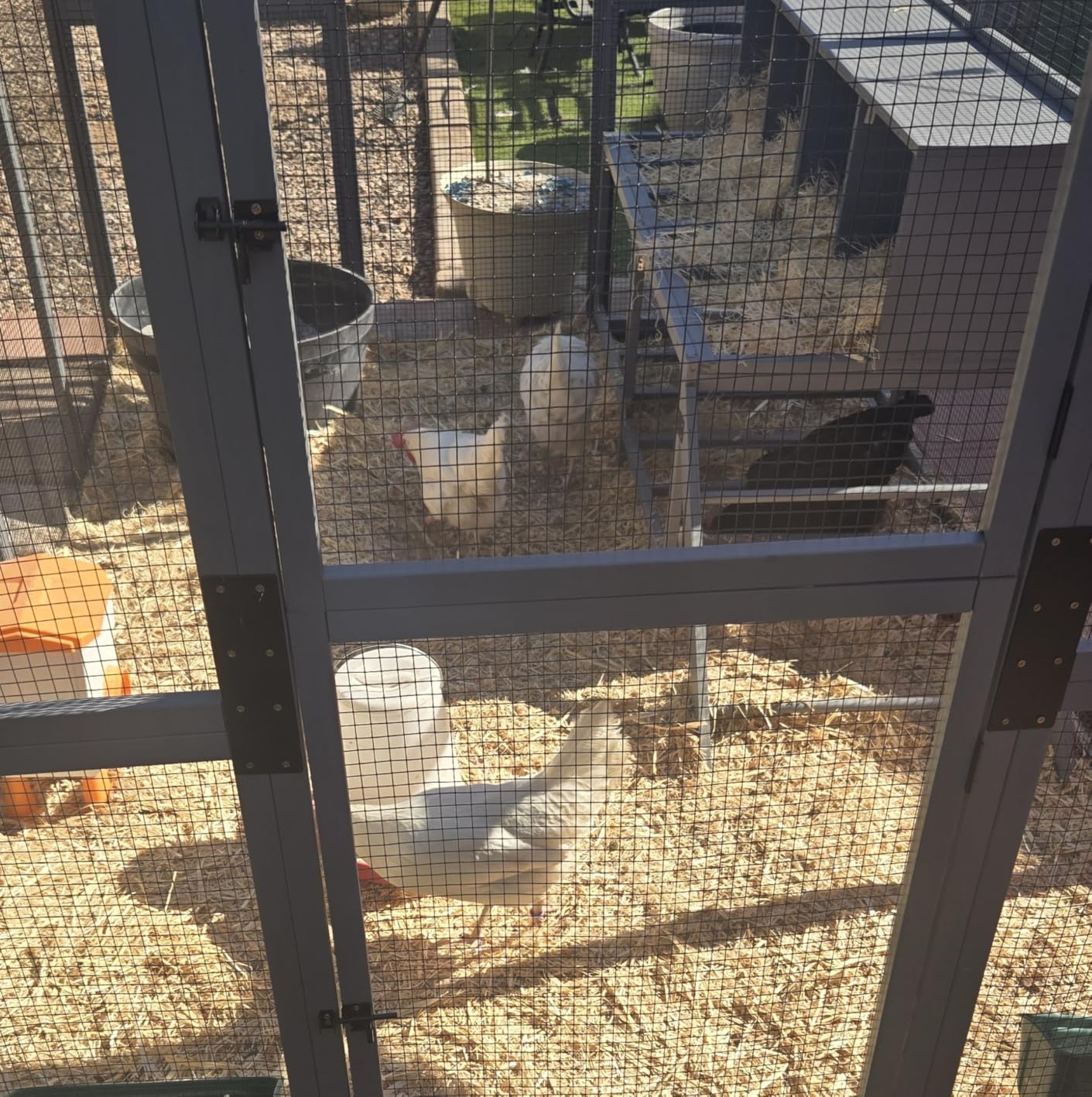 COZIWOW Chicken Coop with Full Waterproof Cover, 9' Extra Large Wooden Chicken House for 10-15 Chickens, 4 Nesting Boxes & Roosting Bars, Outdoor Walk-in Poultry Run, Orange customer photo 2