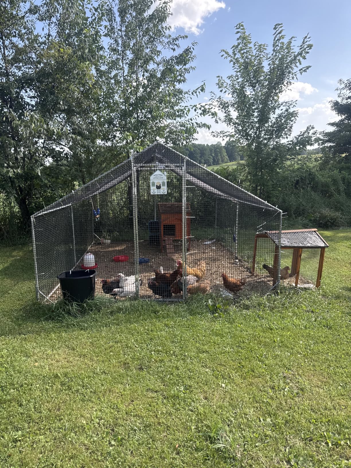 CAMMOO Metal Chicken Coop, 13.1x9.8x6.6ft Chicken Run for Yard with Cover | Upgrade Double Lock & Rust-Proof Mesh, Stainless Steel Ties, Easy Assembly, Chicken Pen for Ducks, Rabbits customer photo 1