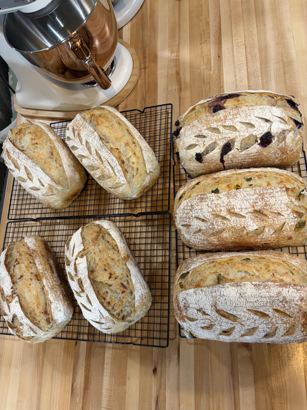 Cozy Bread Proofing Mat & Insulation Box | Thermostat Controlled Sourdough Bread Proofer Kit customer photo 1