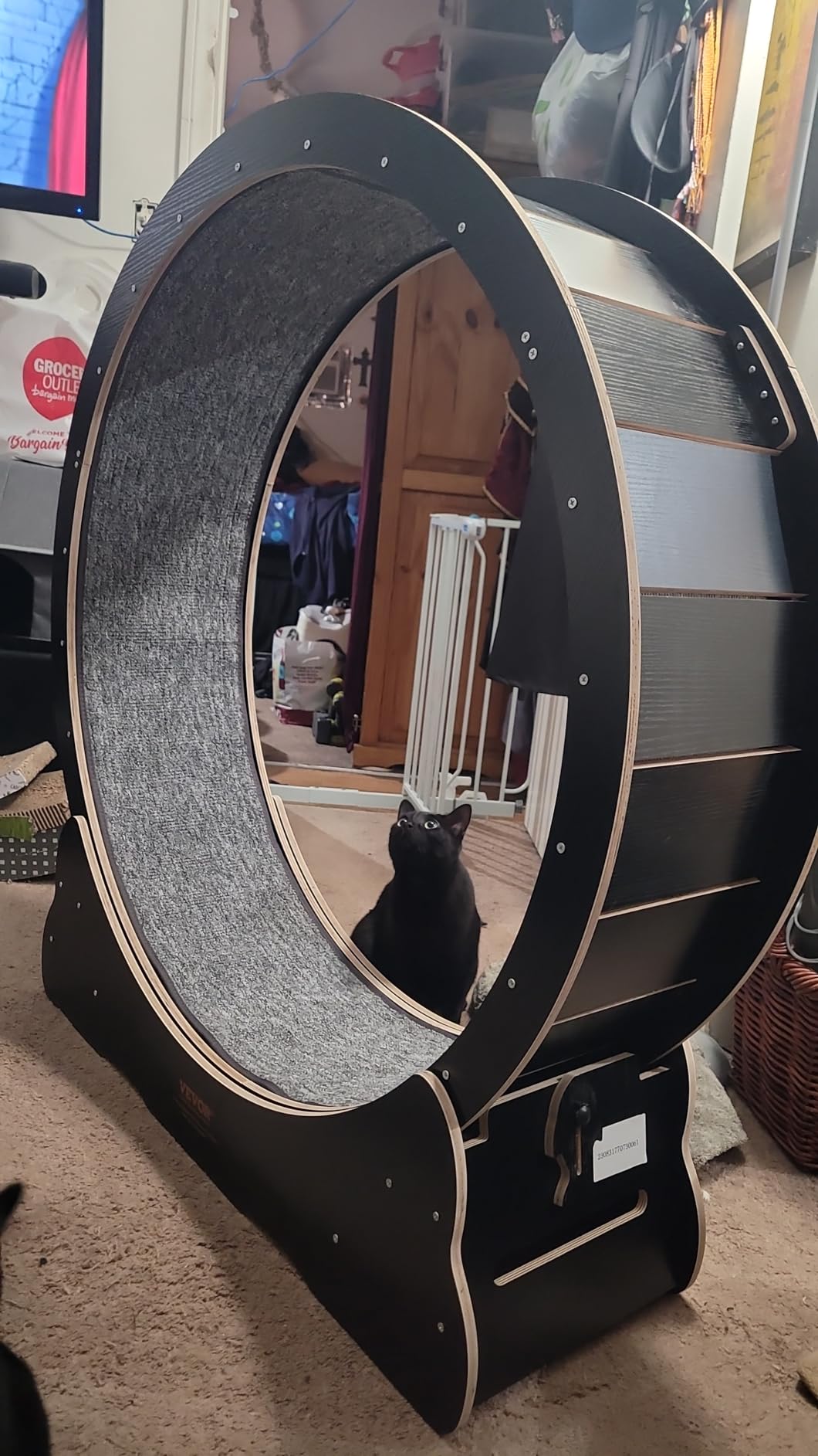 VEVOR Cat Exercise Wheel, 48 in Wooden Cat Running Wheel for Indoor Cats up to 28 lbs, Cats Treadmill with Carpeted Runway & Locking Mechanism, Quiet Roller Kitten Sport Toys for Pets Fitness & Health customer photo 1