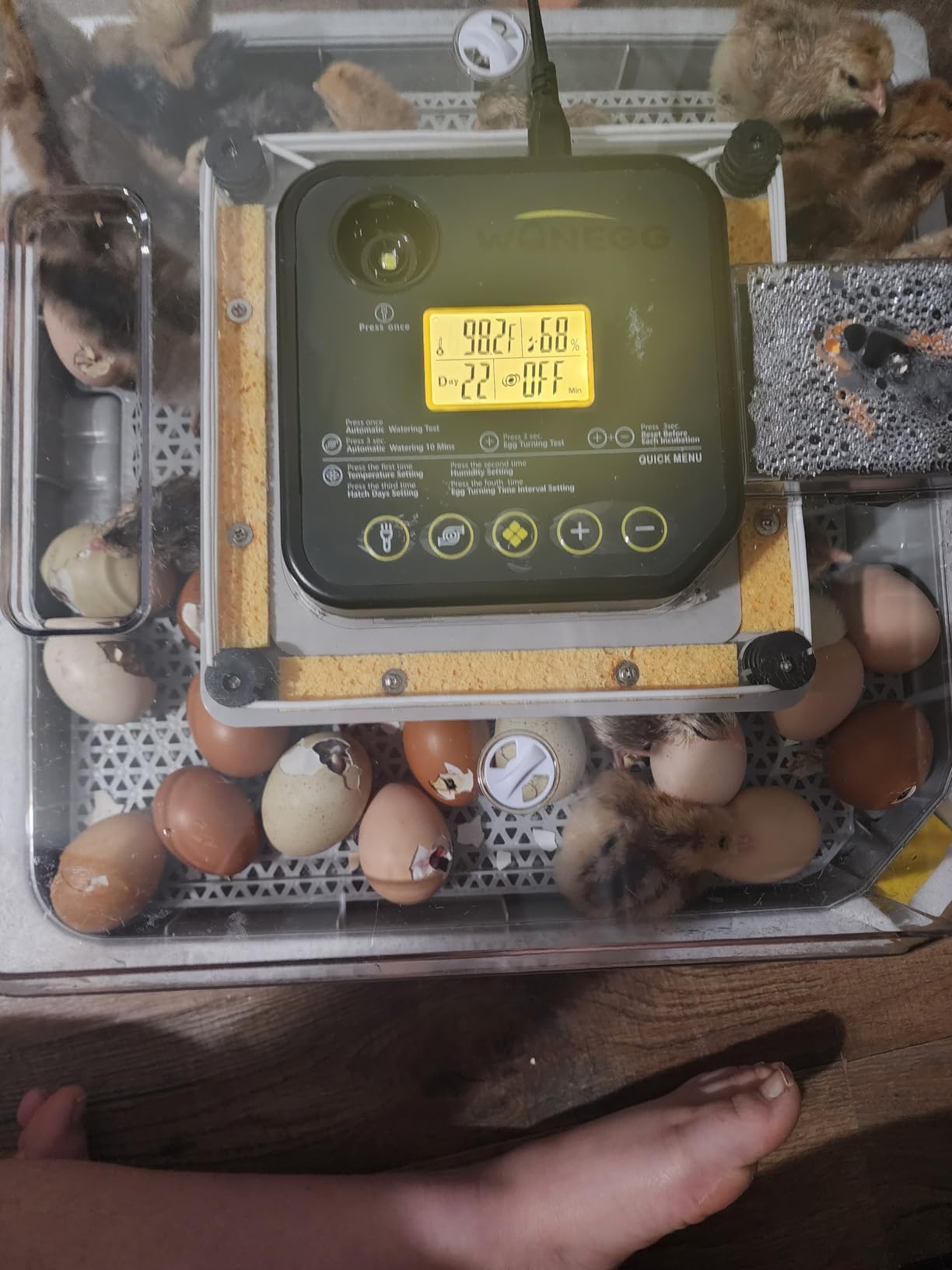 VEVOR 400 Egg Incubator, Poultry Incubator Cabinet with Automatic Eggs Turning, Temperature & Humidity Control, Heating & Cooling Egg Hatcher, Commercial Incubators for Hatching Chicks Ducks Goose customer photo 2