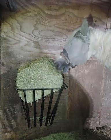 Hay Feeder, Heavy Duty Wall Mounted Hay Rack Detachable Sided Hay Holder for Horses, Goats, Sheep and Livestock, 20 Gallons Large Capacity customer photo 1