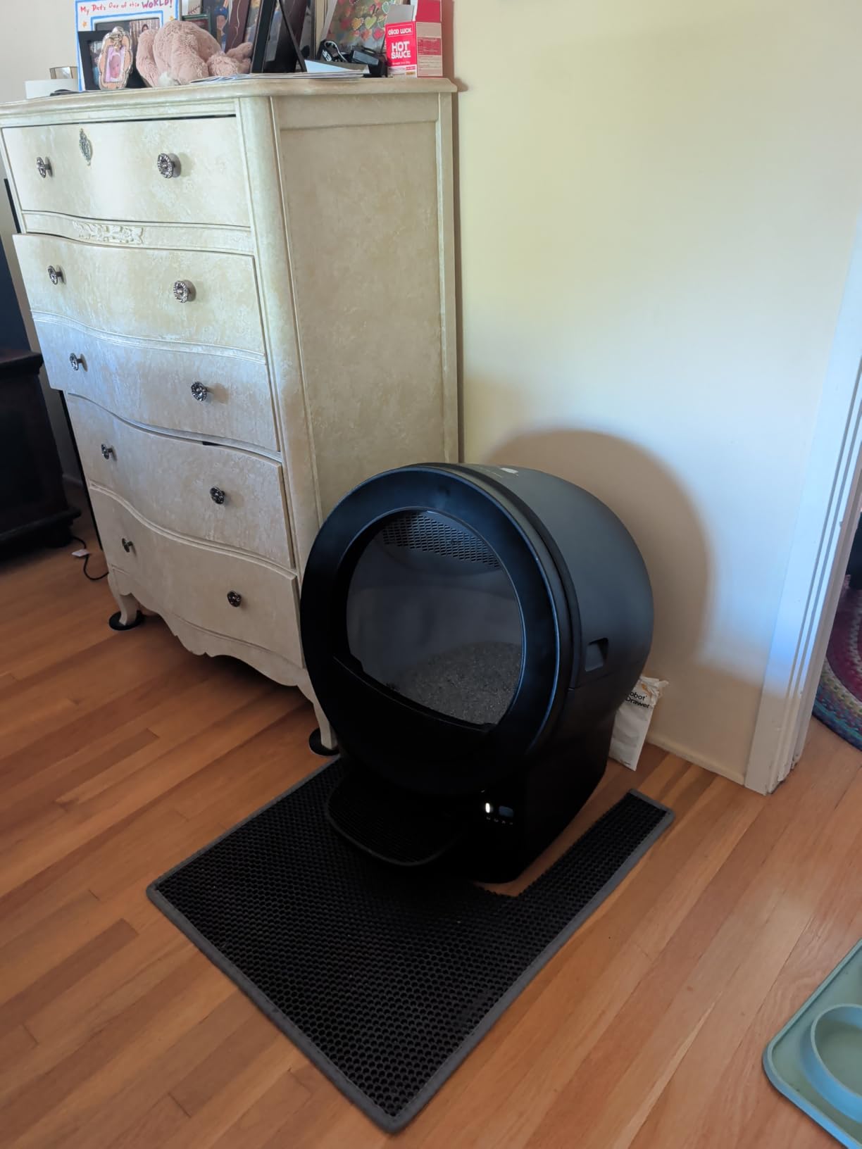 Litter-Robot EVO by Whisker, Black | Automatic Self-Cleaning Cat Litter Box, Compact Space-Saving Design, Advanced Odor Control, Works with Any Clumping Litter customer photo 1