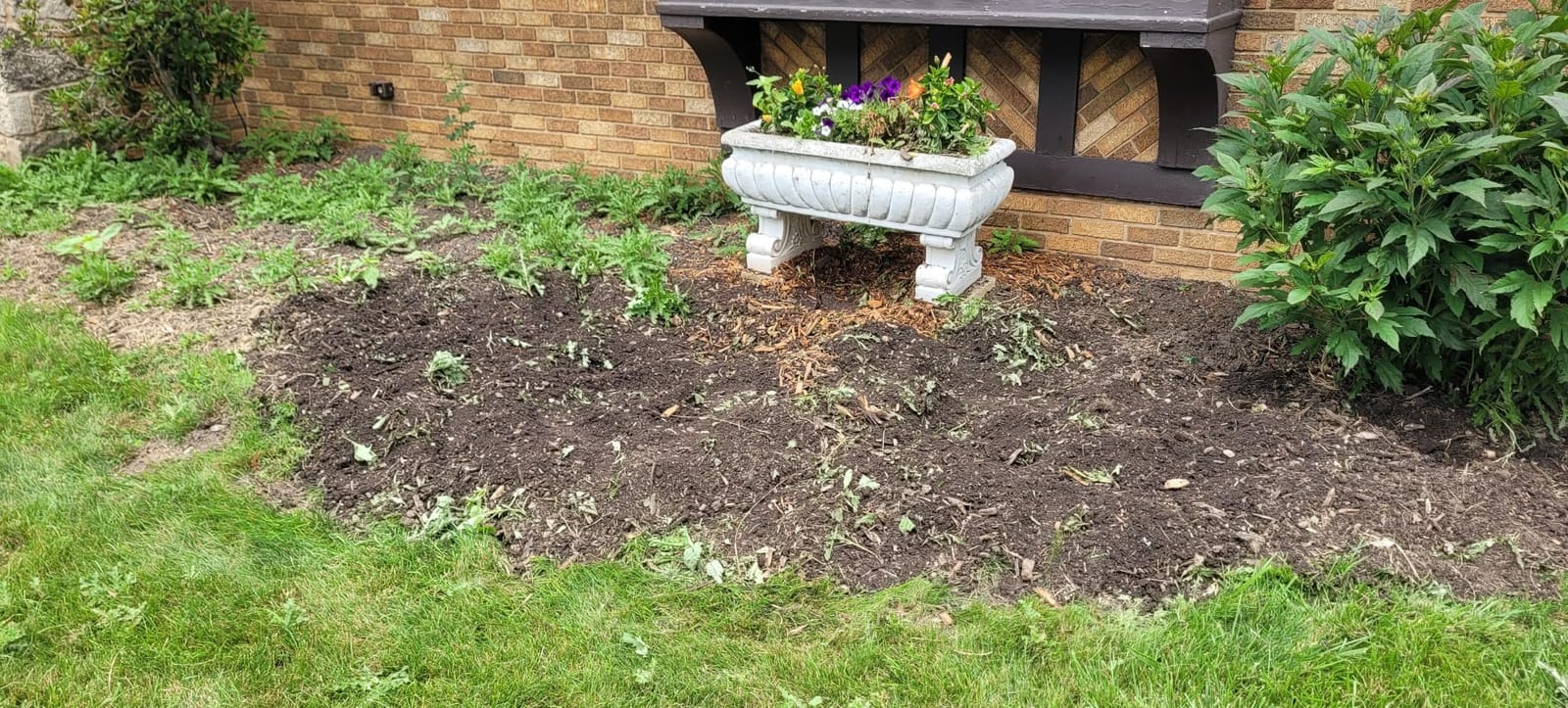 MZK 20V Cordless Tiller Cultivator, 8-Inch Steel Tines, 360 RPM, Battery-Powered Mini Garden Cultivator customer photo 1