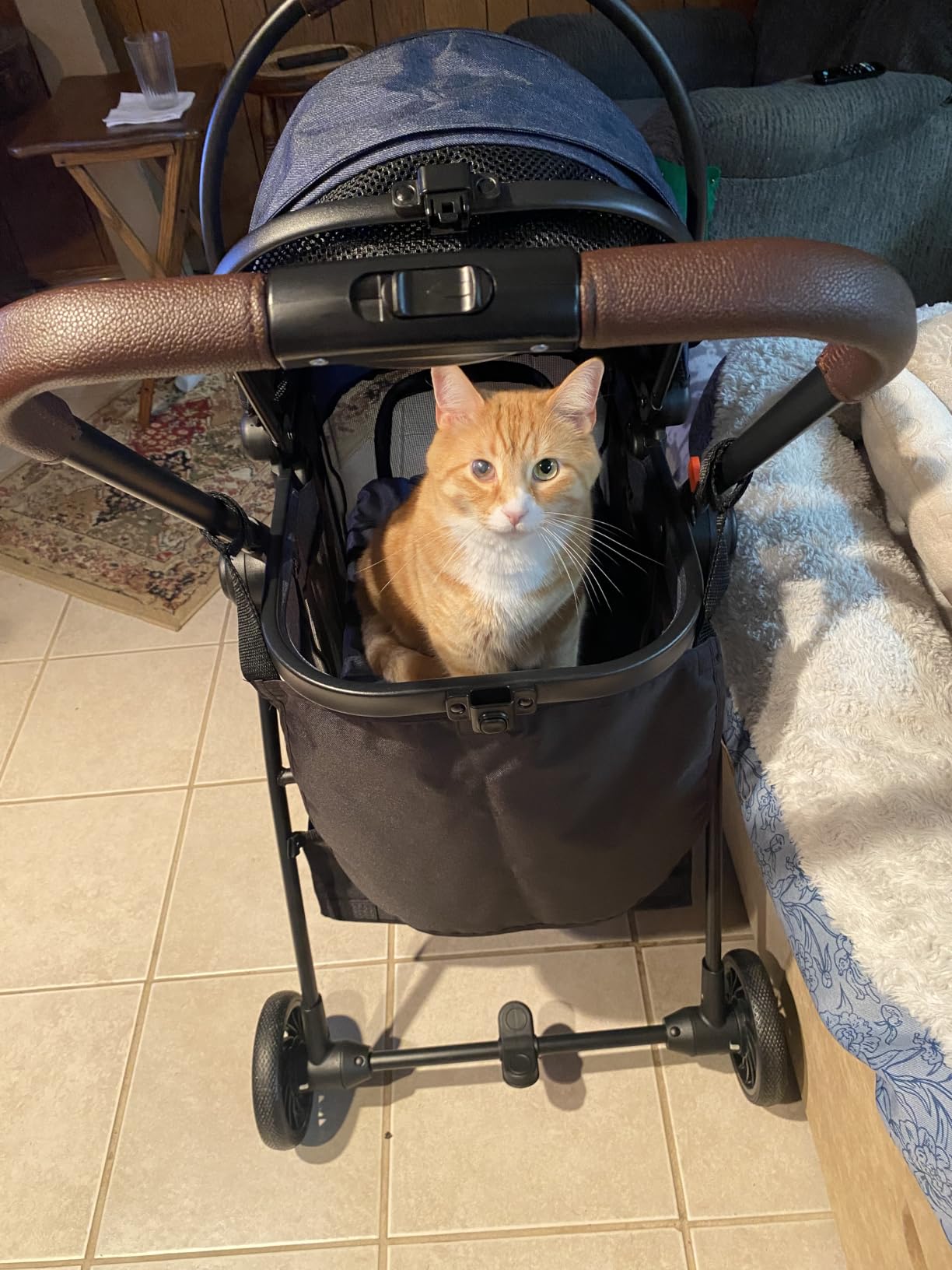 3 in 1 Pet Carrier Stroller for Small/Medium Dogs up to 33 lbs | Detachable Carrier, Foldable Dog & Cat Stroller, Large Storage Bag, Full Window Mesh, One-Touch Dual Brake, Car Seat customer photo 1