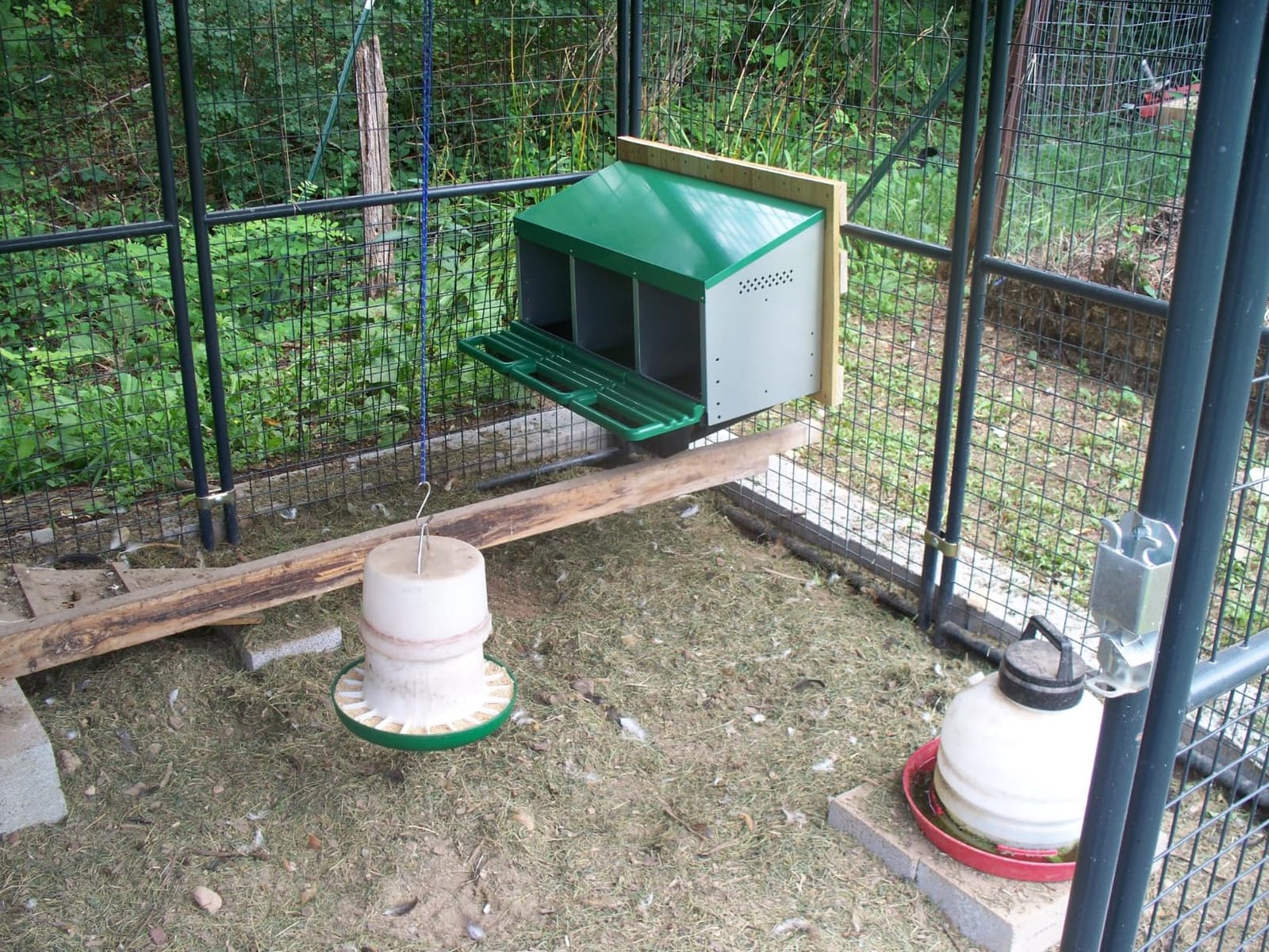 Eggluuz Chicken Nesting Box, 6 Compartments Egg Laying Nests Boxes for Hens customer photo 1