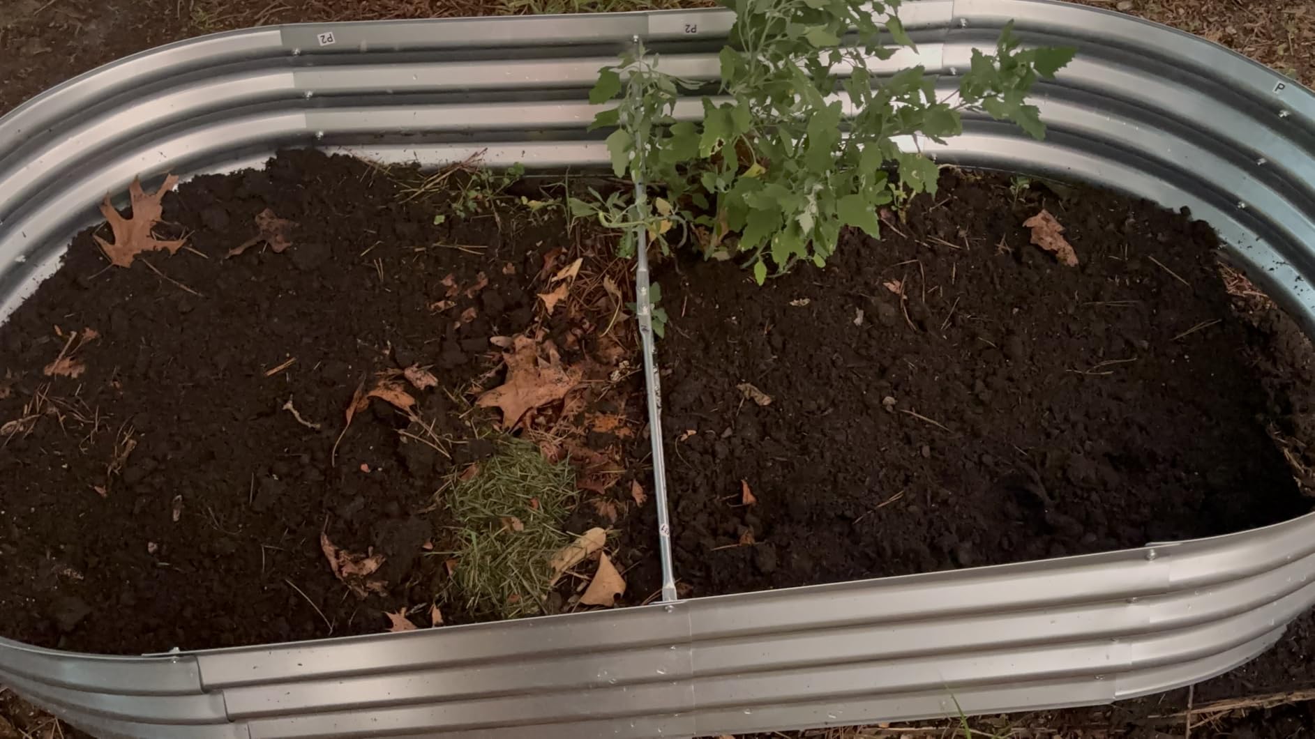 Galvanized Raised Garden Bed Outdoor, 4x2x1ft(2Pack) Metal Heavy Duty Planter Boxes for Gardening, Easy Assemble Bottomless Small Oval Plant Container Kit for Vegetable, Flower, Fruit, Silver customer photo 2