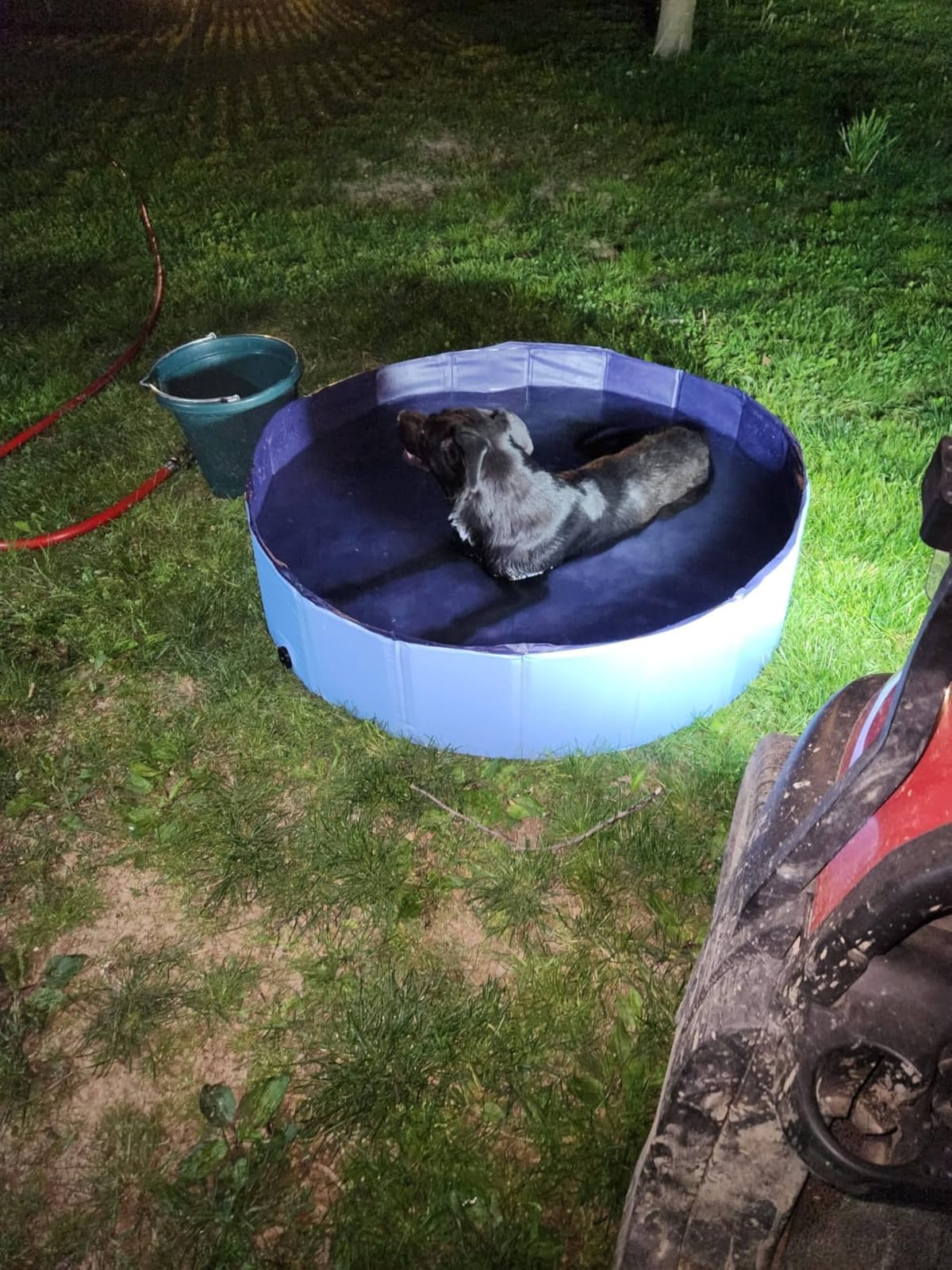 Extra Large Foldable Dog Pool for Giant Dogs, 120