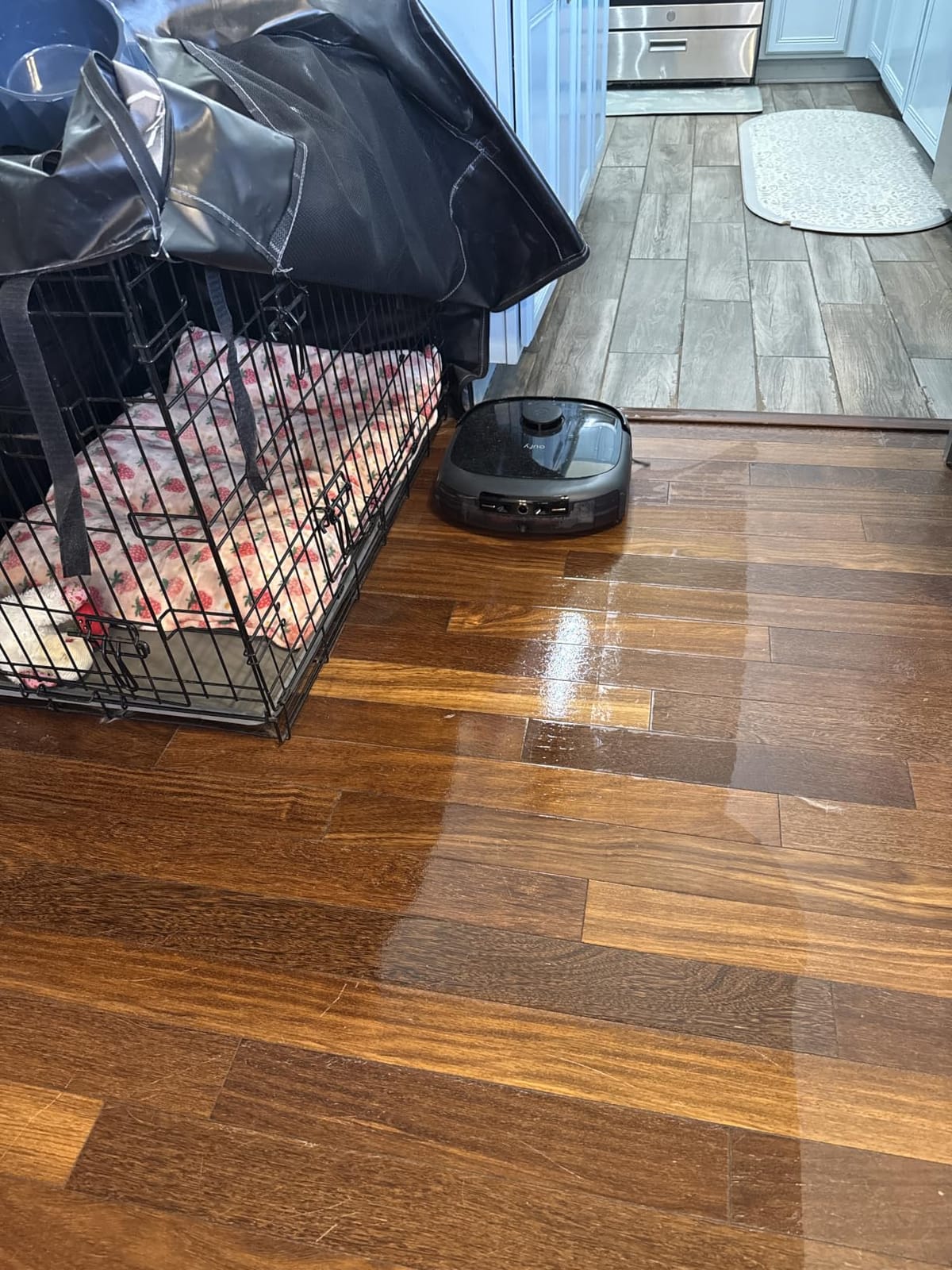 eufy Omni C20 customer photo 2