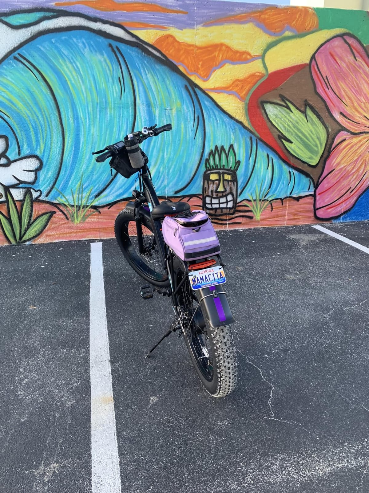 Electric Bike for Adults, 1000W Peak Ebike, 60Miles Electric Mountain Bike, 26