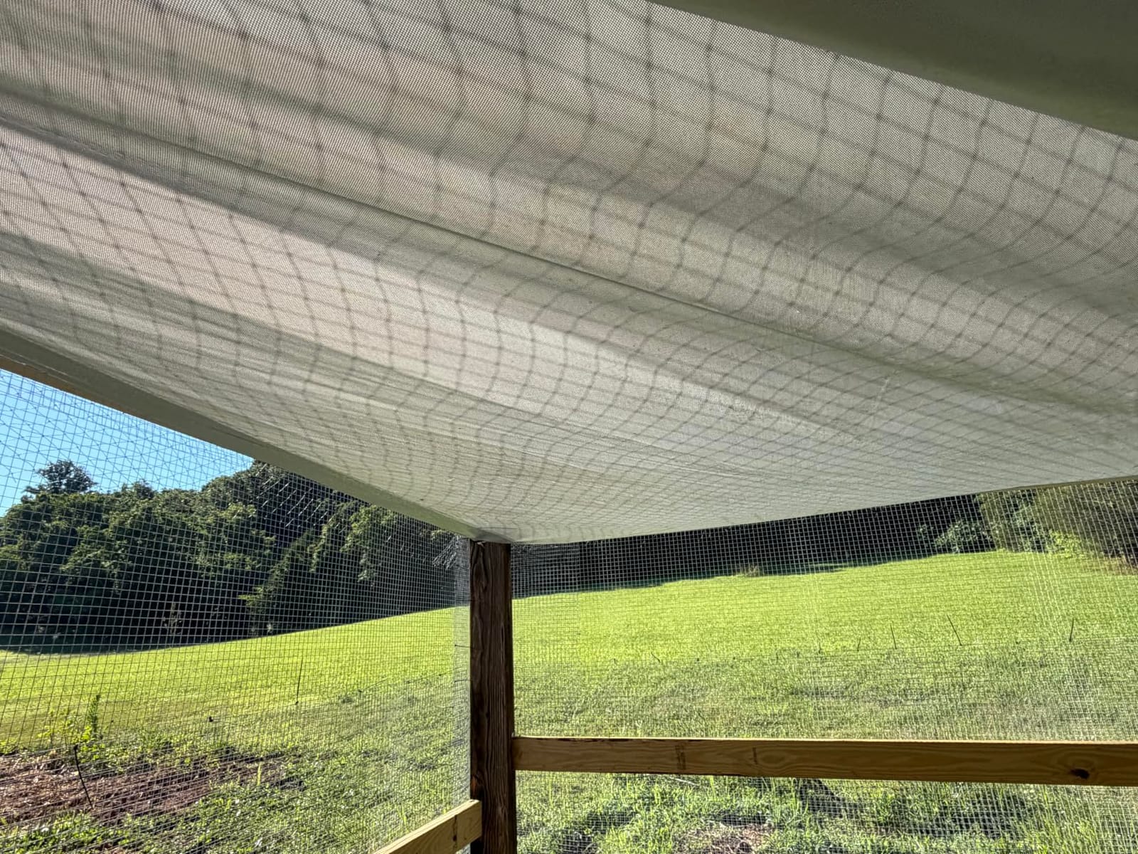 Chicken Coop Cover Waterproof, 11.7x6.7ft Tarp for Walk-in Chicken Run, 1PC | 420D Oxford Fabric, UV Resistant, Ball Bungees Included, Tool-free Installation, Fits Walk-in Chicken Coops customer photo 1