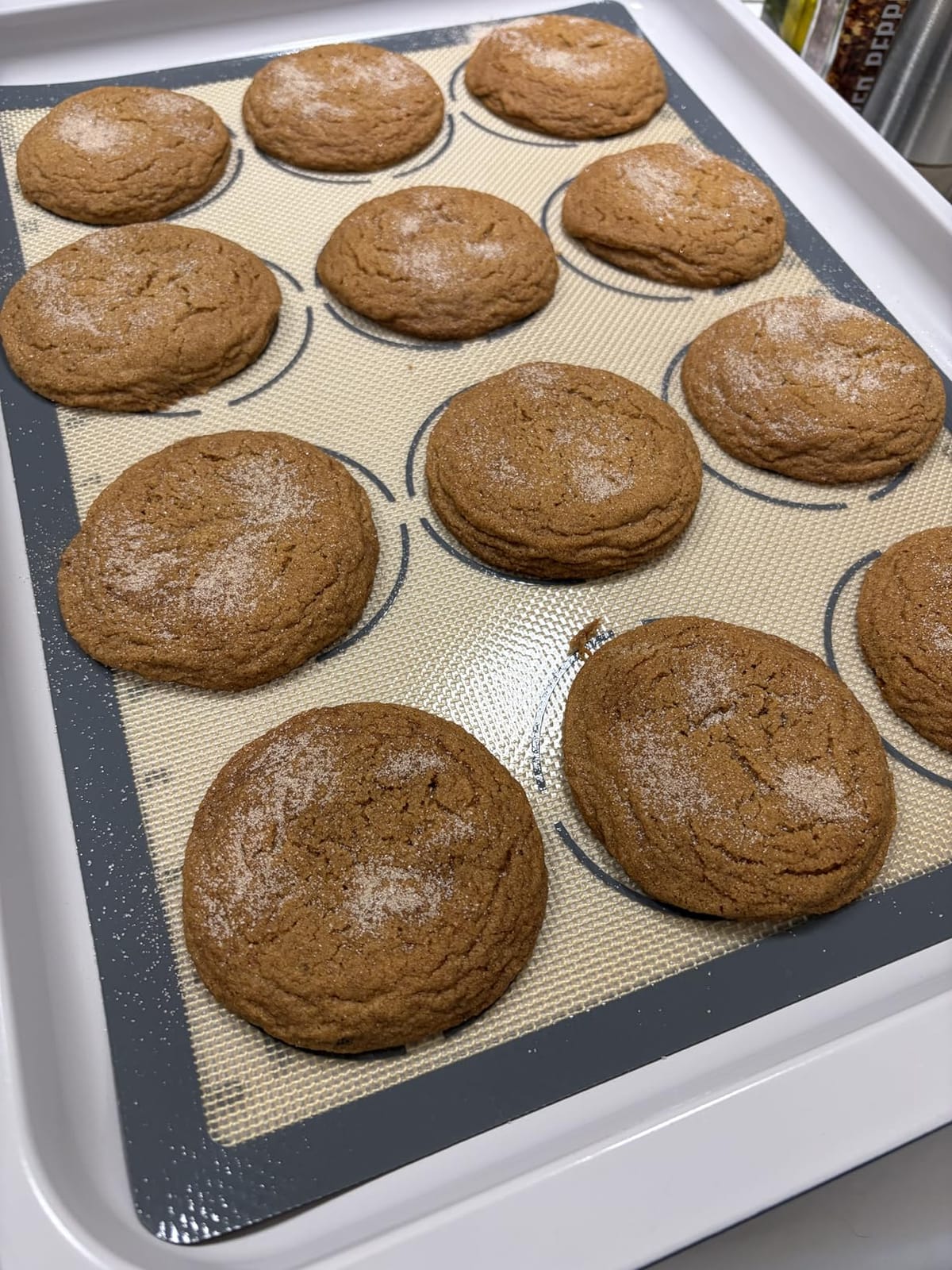 GUANCI 2 Pack Silicone Baking Mats, 11.6