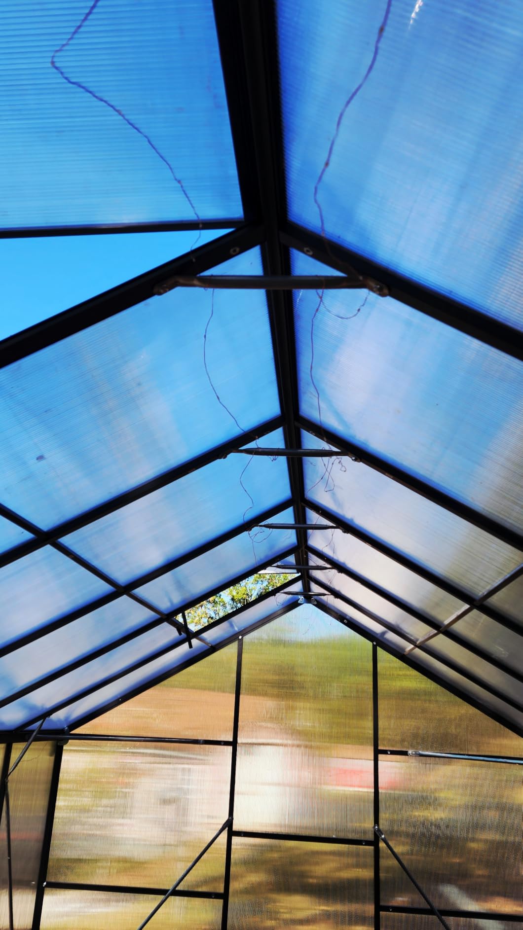 6x10FT Greenhouse with Hygrometer, Windproof Warm Plant Green Houses | Polycarbonate Green House with UV Protection, Heavy Duty Greenhouse with Aluminum Frame, Roof Vent & Quick-Install Design customer photo 2