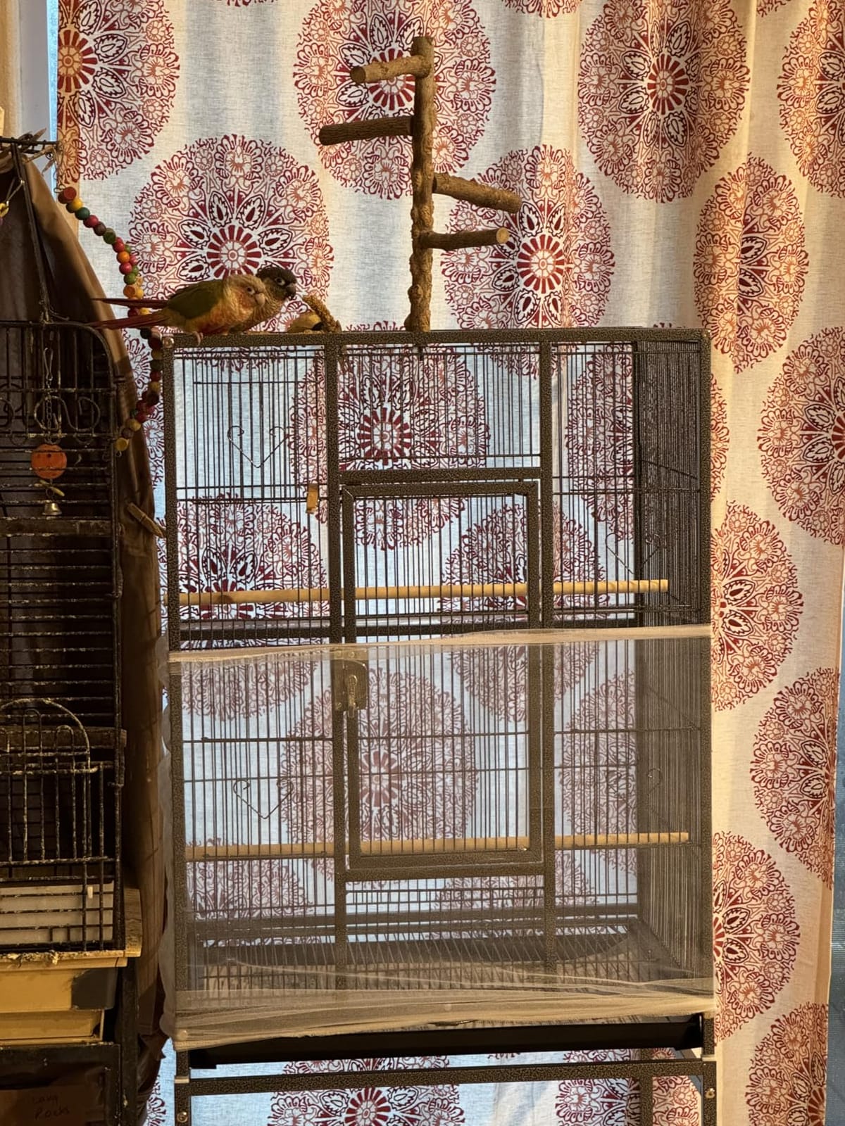 YITAHOME 53.9 inches Metal Bird Cage for Parakeets: Large Parrot Cages with Seed Catcher & Birdcage Cover with Rolling Stand & Brakes for Lovebirds Cockatiels Pigeon Finches customer photo 1