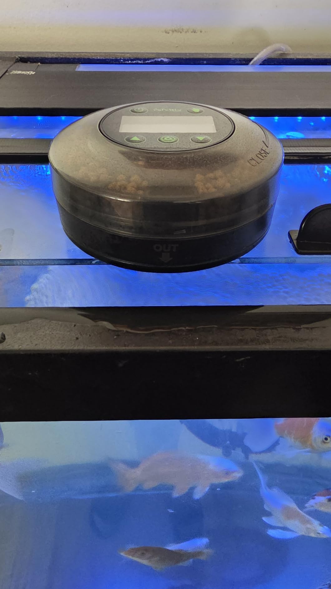 Papettly Automatic Fish Feeder for Aquarium - Auto Fish Food Dispenser for Fish Turtle Tank with USB Cable & LCD Display, Timer Fish Feeder for Vacation Weekend Holiday, with Fish Feeder Spoon customer photo 1