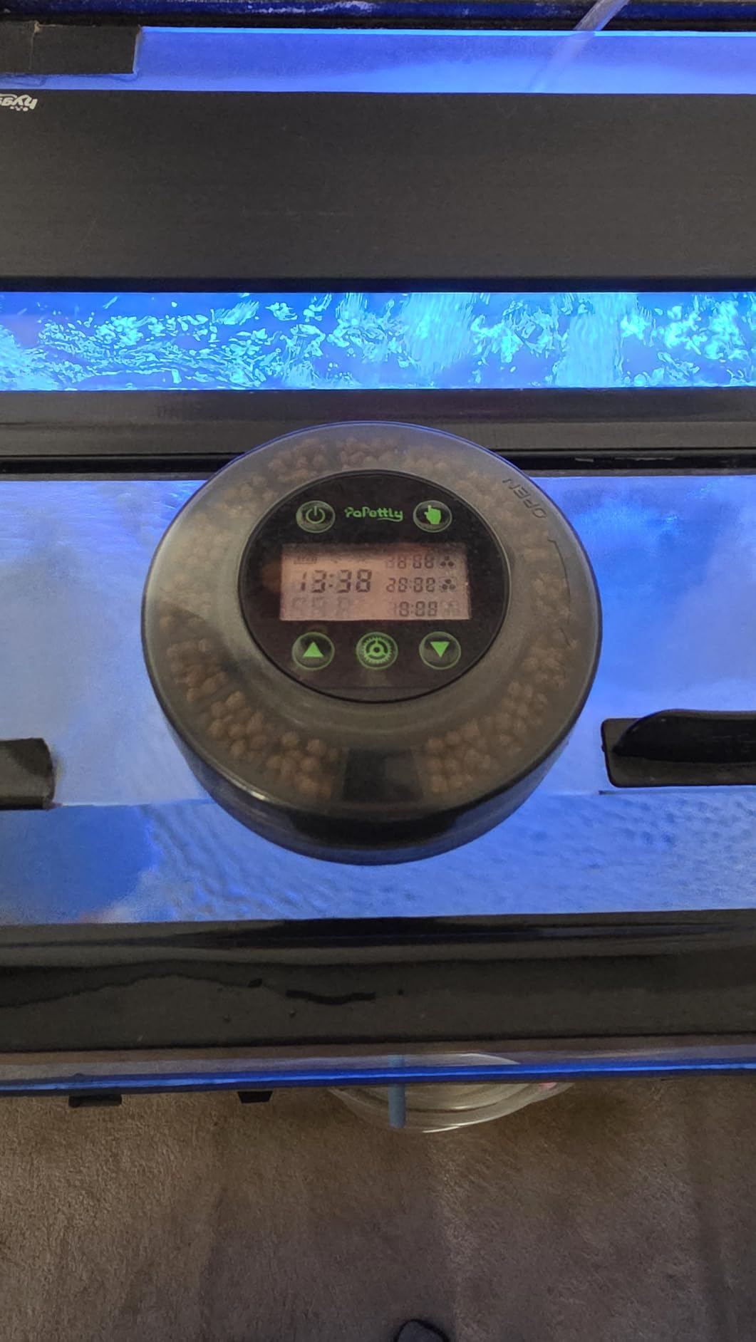 Papettly Automatic Fish Feeder for Aquarium - Auto Fish Food Dispenser for Fish Turtle Tank with USB Cable & LCD Display, Timer Fish Feeder for Vacation Weekend Holiday, with Fish Feeder Spoon customer photo 2