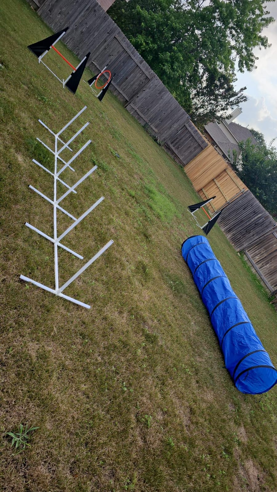 POPMOON Dog Agility Course Backyard Set, 11-Piece Dog Agility Equipment | Agility Course for Dogs with Adjustable Hurdles, Jump Ring, Weave Poles, Tunnel, Pause Box, Ball for Backyard & Indoor Training customer photo 2