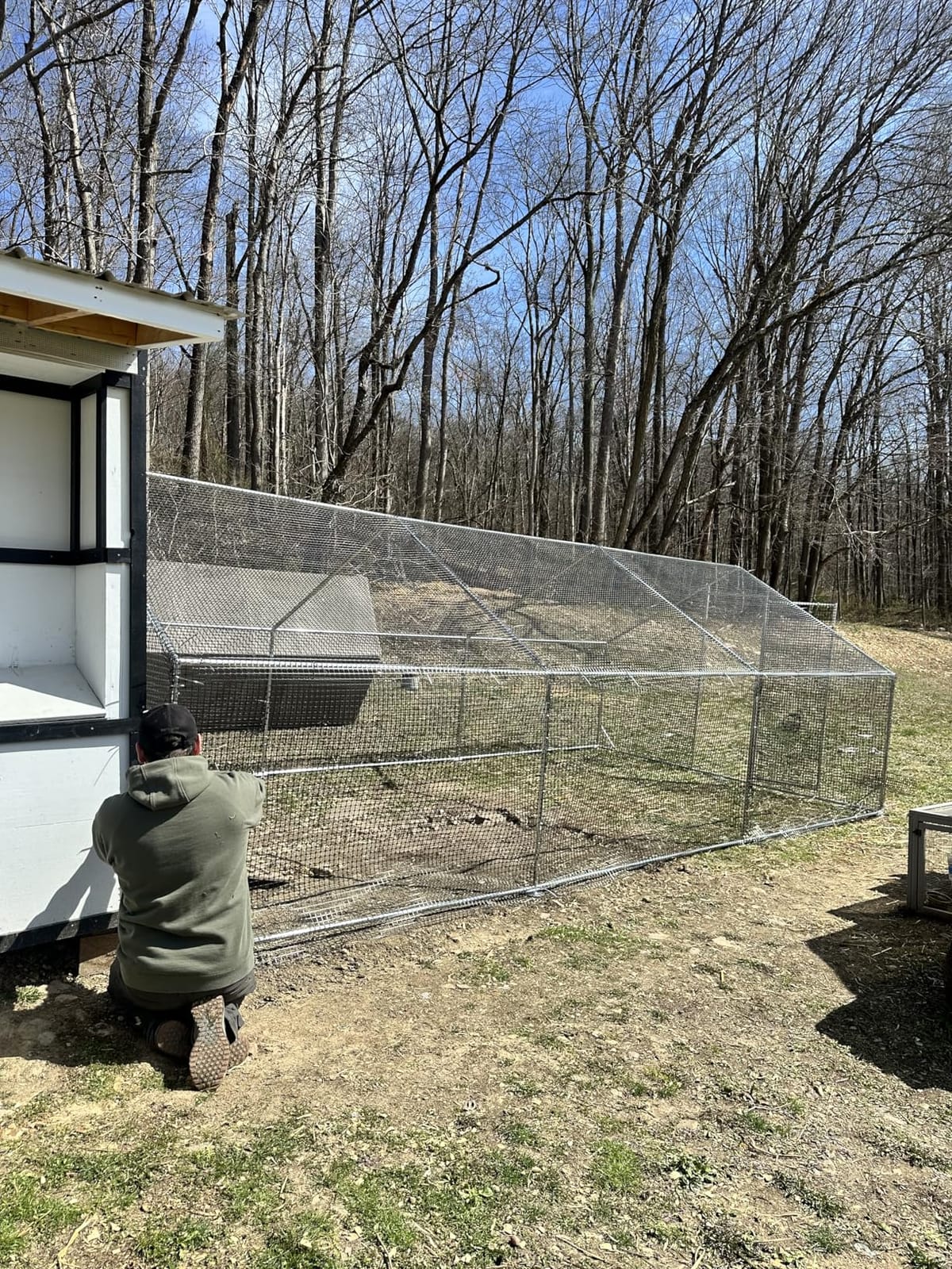 CAMMOO Metal Chicken Coop, 19.7x9.8x6.6ft Chicken Run for Yard with Cover | Upgrade Double Lock & Tough Mesh, Stainless Steel Ties, Easy Assembly, Chicken Pen for Ducks, Rabbits customer photo 2