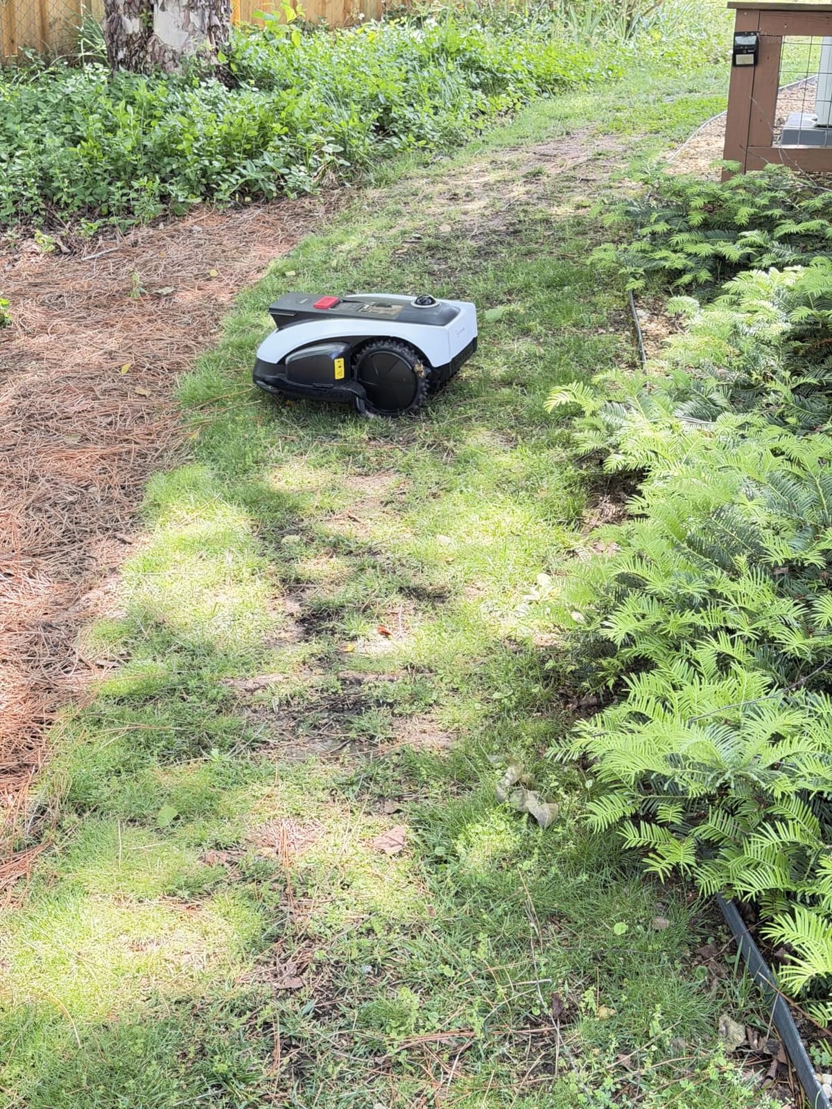ECOVACS Goat O1000 LiDAR PRO Robot Lawn Mower, Wire-Free Mapping with LiDAR Navigation, AI Obstacle Avoidance, Smart Edge Mowing, App Control, for Lawns Up to 1/4 Acre customer photo 1